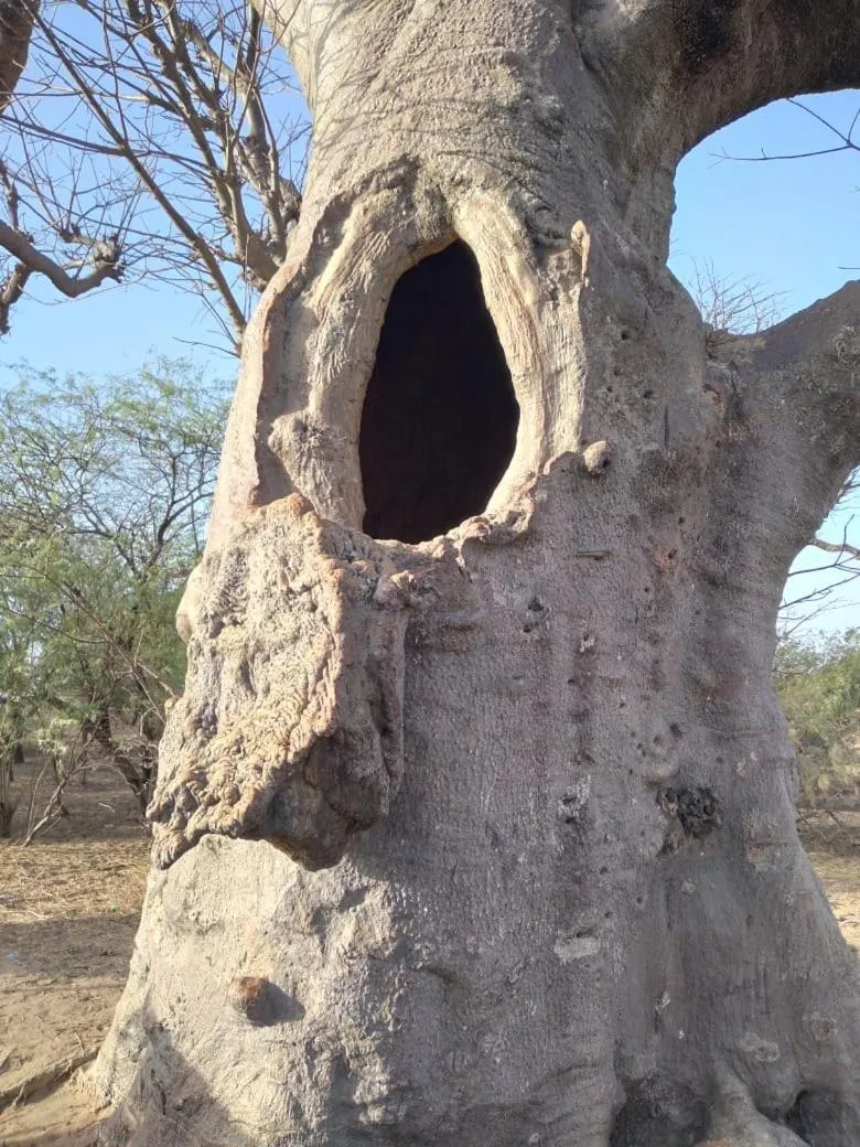 Nearby landmark in Résidence Le Marlodj