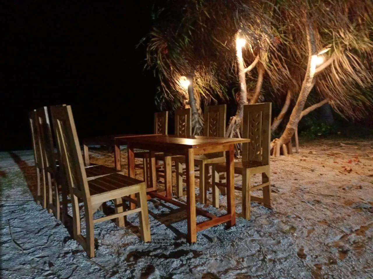 Night in Palm Beach Resort Ceylon