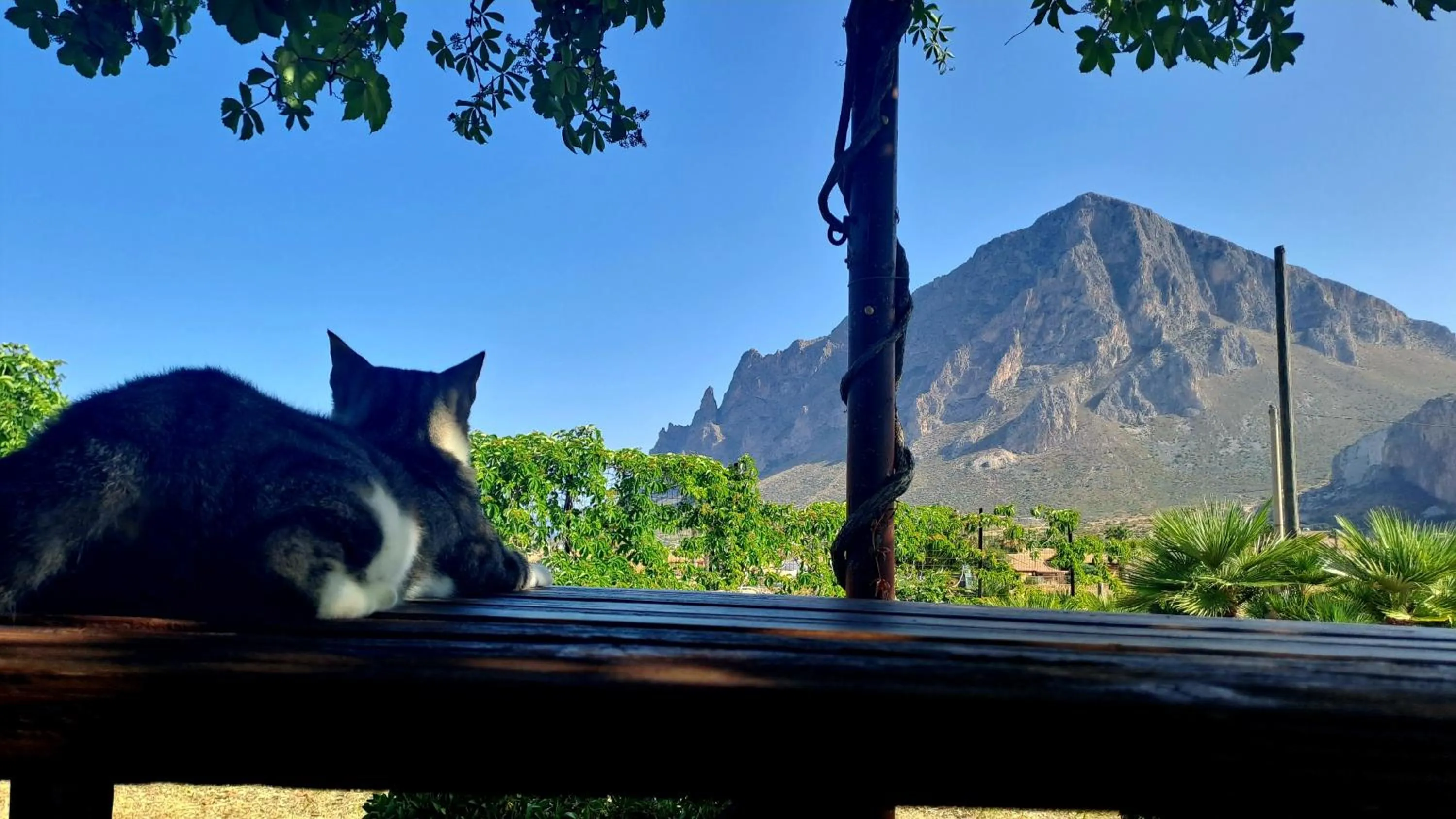 Day in HOTEL Cala Buguto