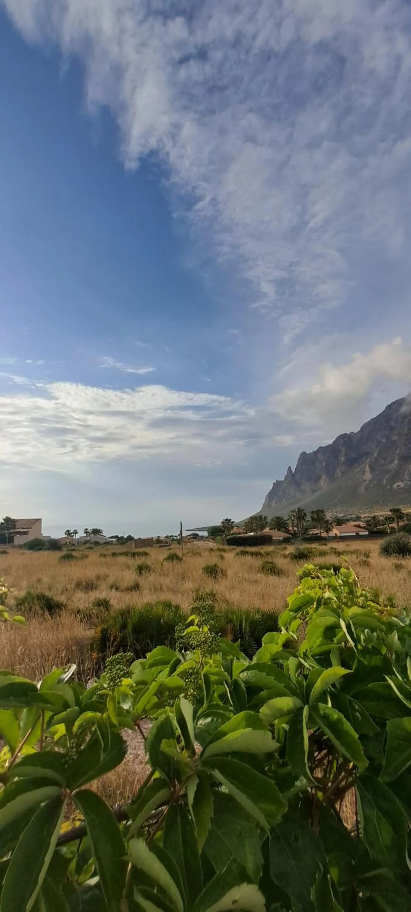 Nearby landmark in HOTEL Cala Buguto