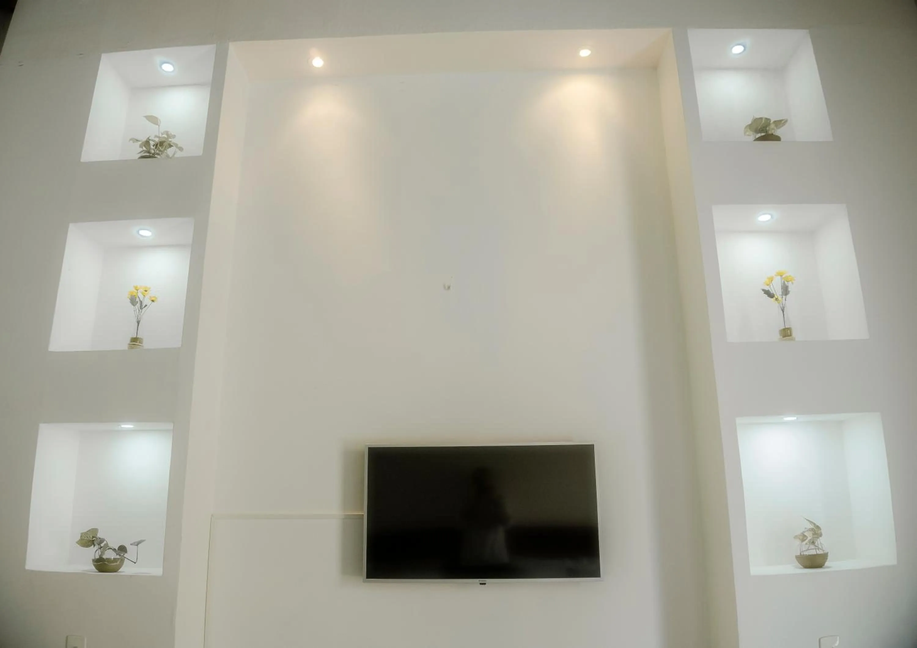 TV and multimedia in La Puerta Azul