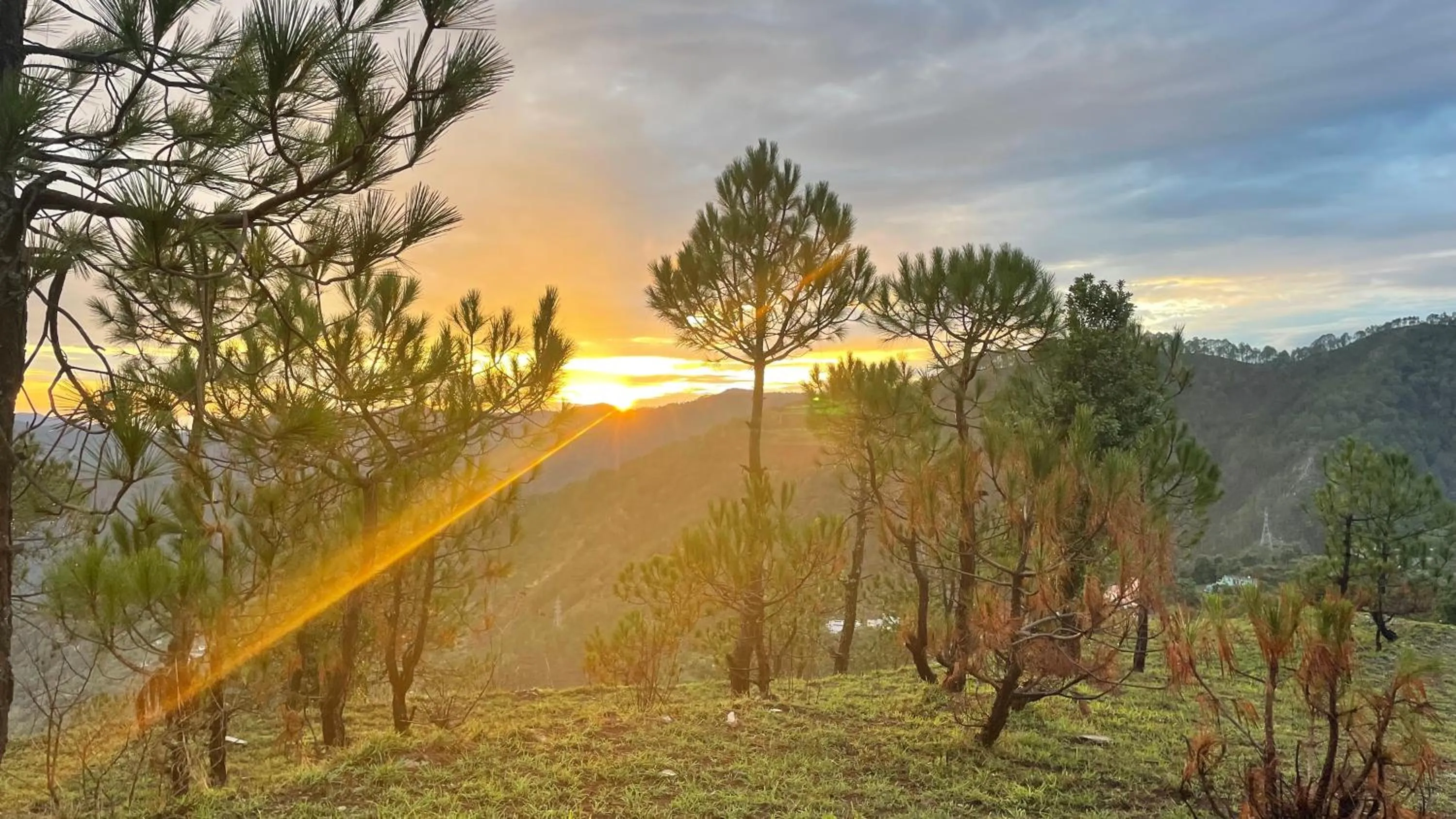 View (from property/room) in Onehouse Resort Lansdowne