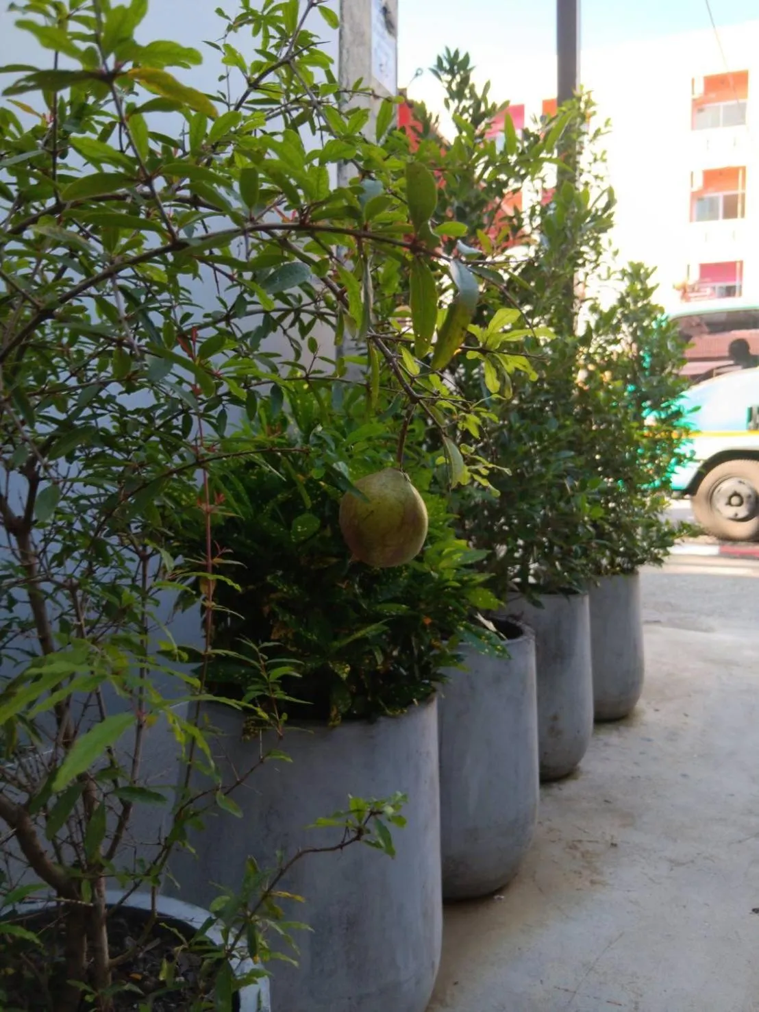 The Brown Boutique Patong