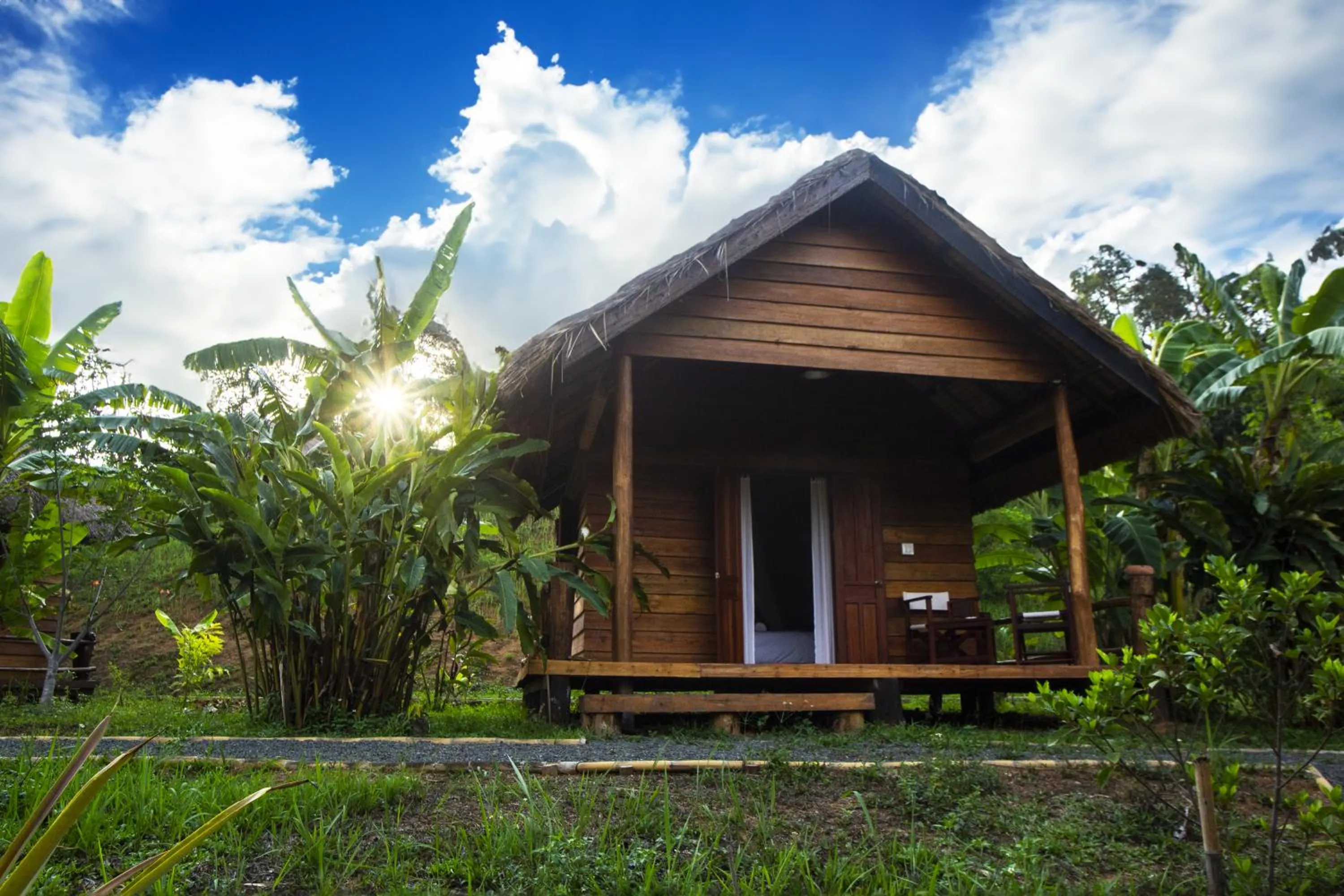 Garden in Naga Lodge