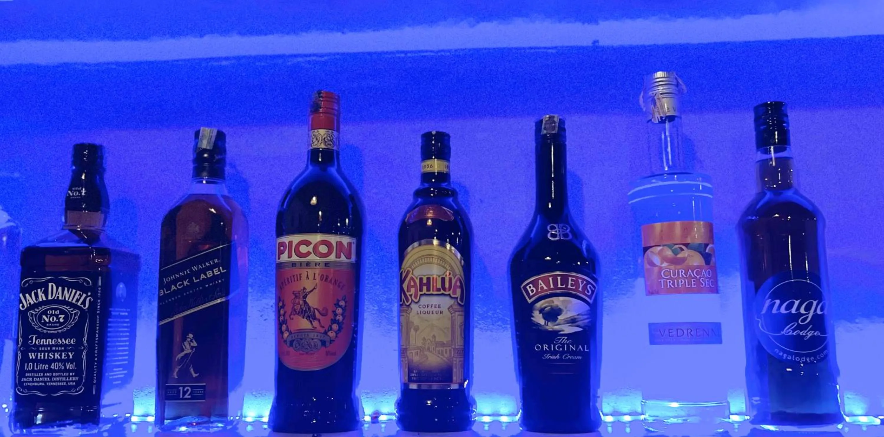 Lounge or bar in Naga Lodge