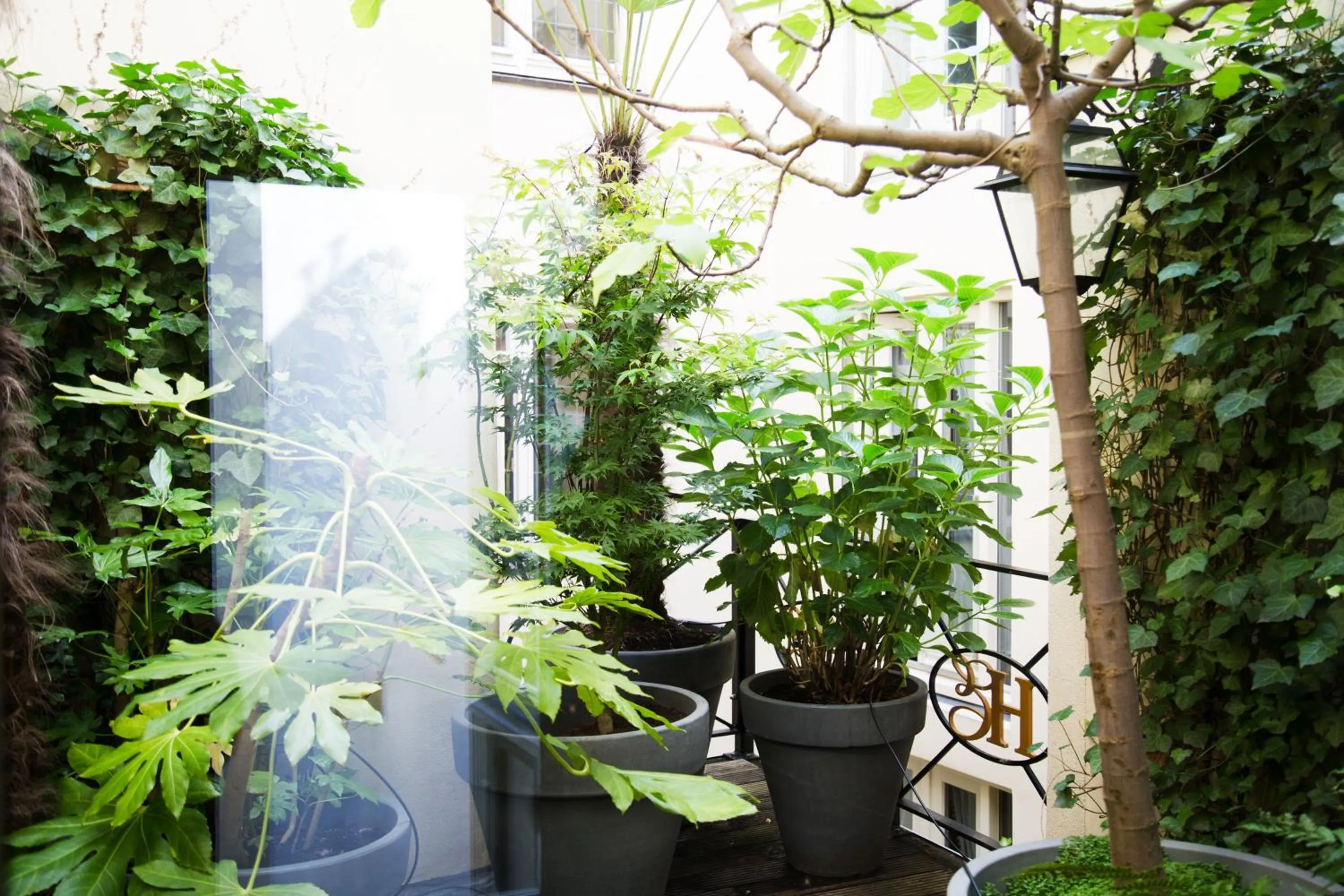 Patio in Hotel Estheréa