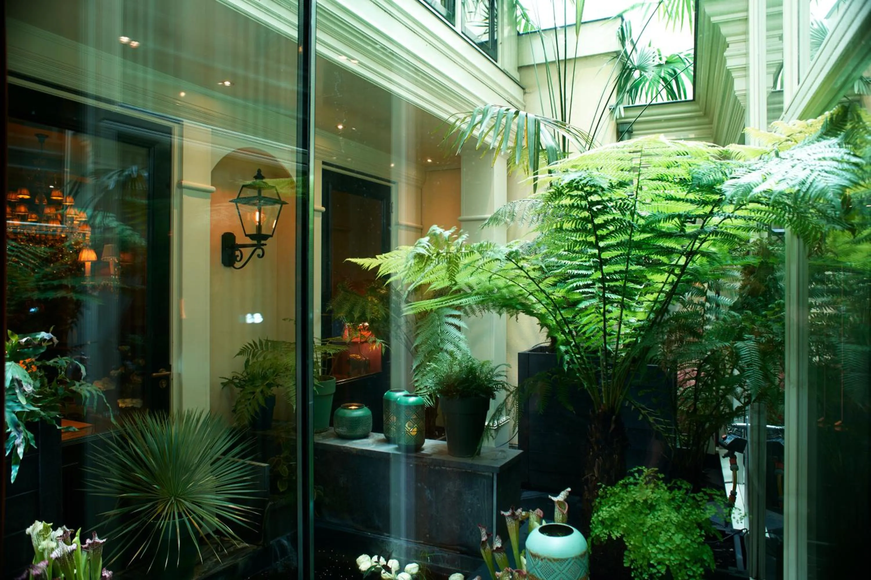 View (from property/room) in Hotel Estheréa