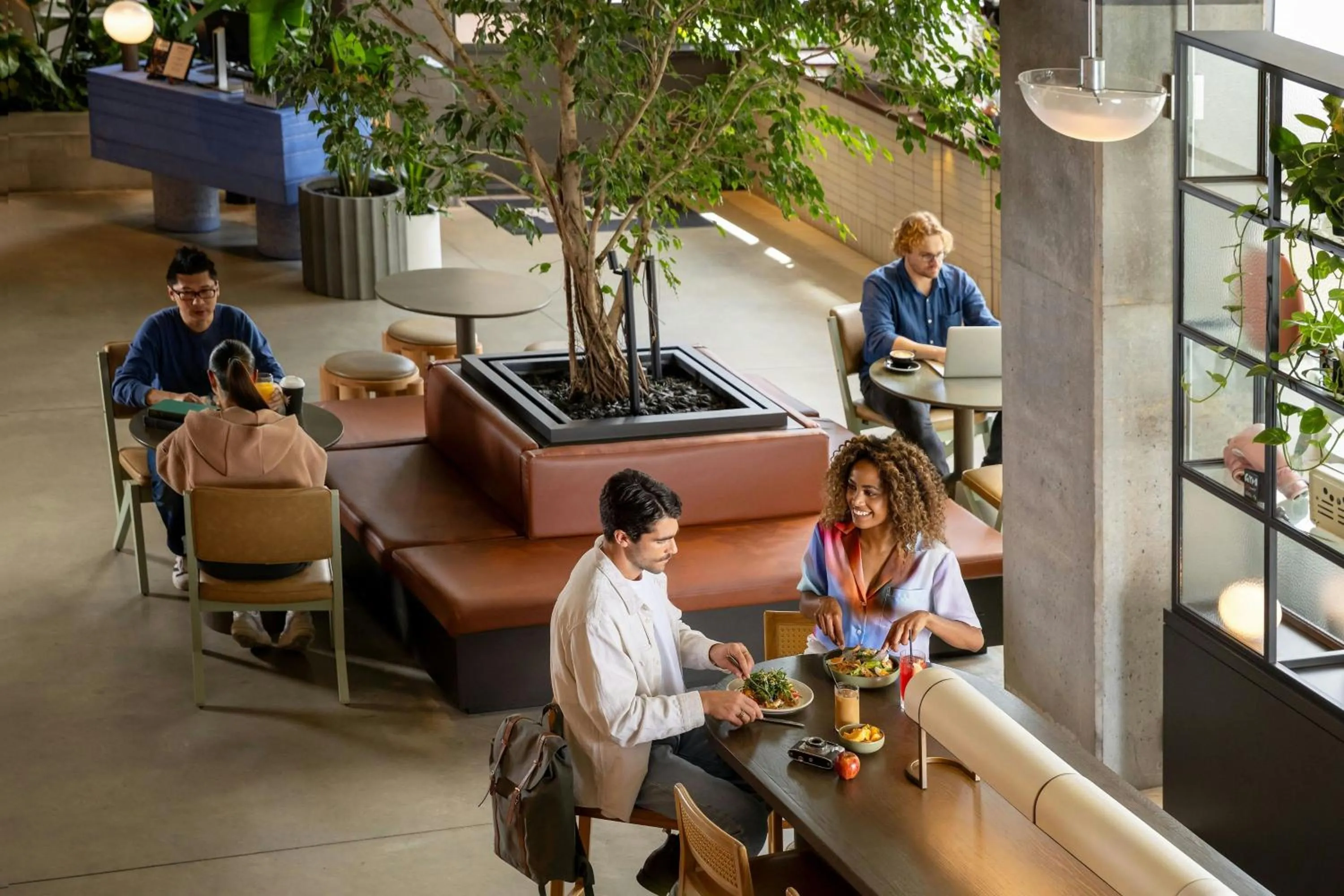 Restaurant/places to eat in Moxy Sydney Airport