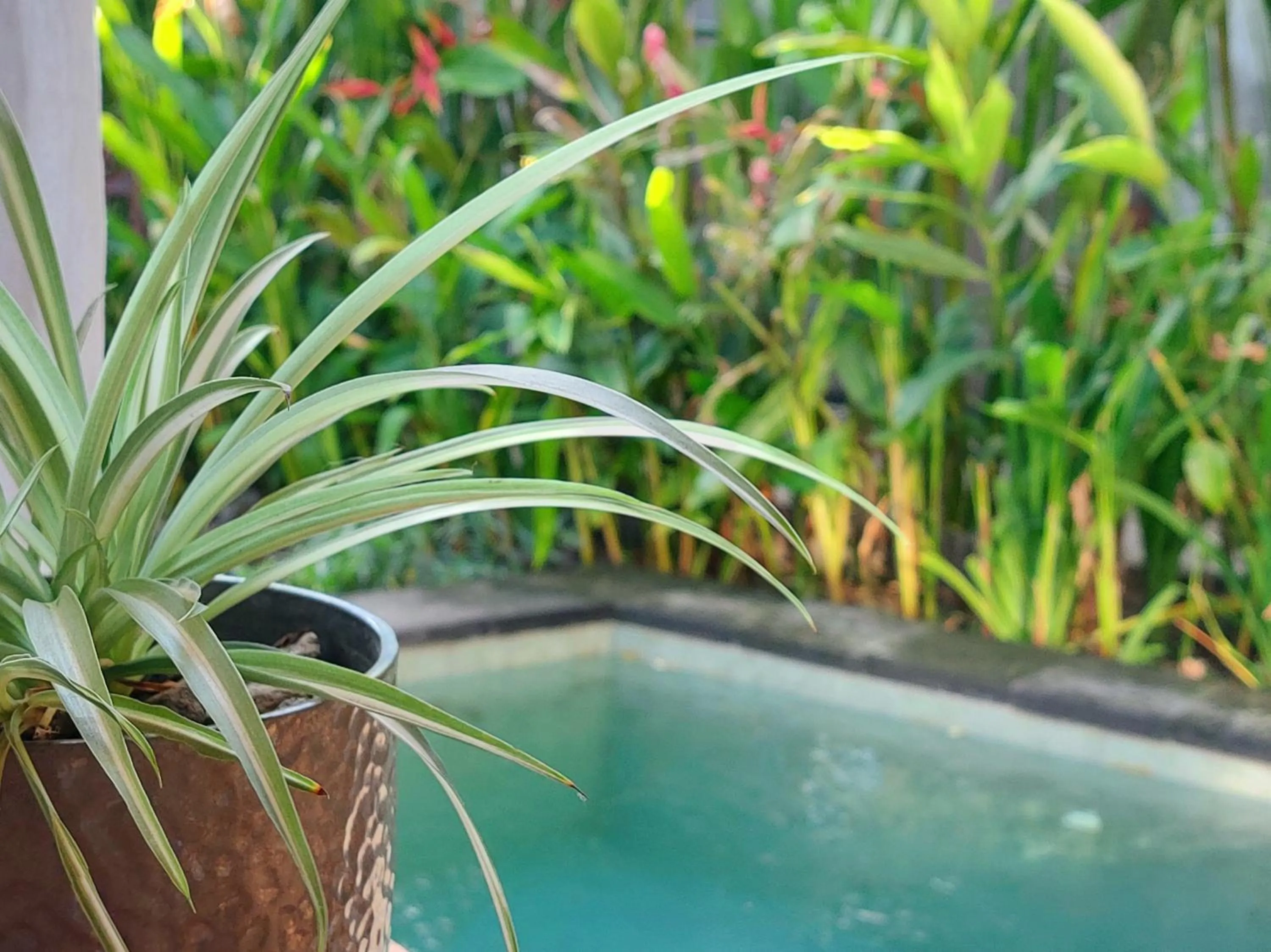 Garden in Spaces Bali Unique Boutique Hotel