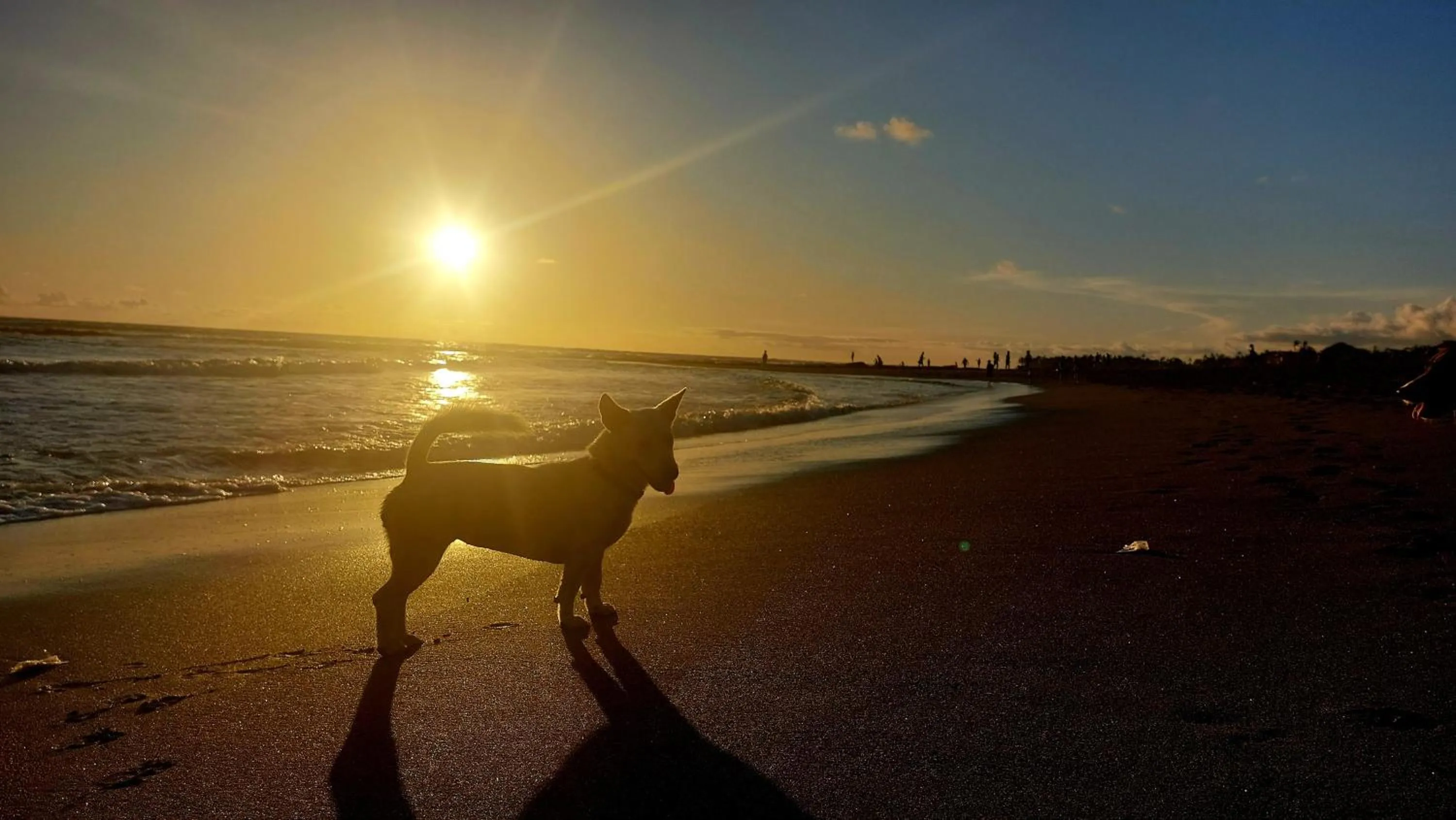 Beach in Spaces Bali Unique Boutique Hotel