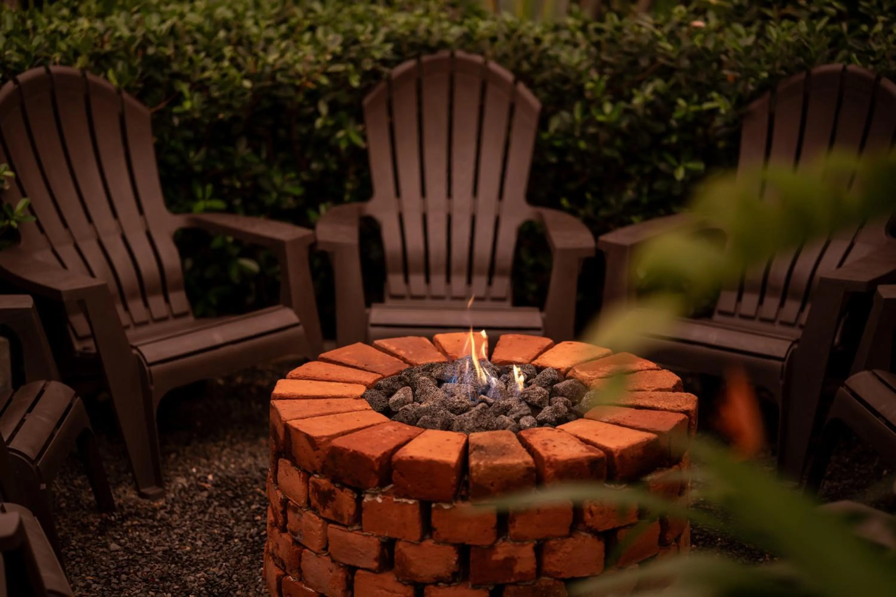 Garden in Suwa Villa Arenal