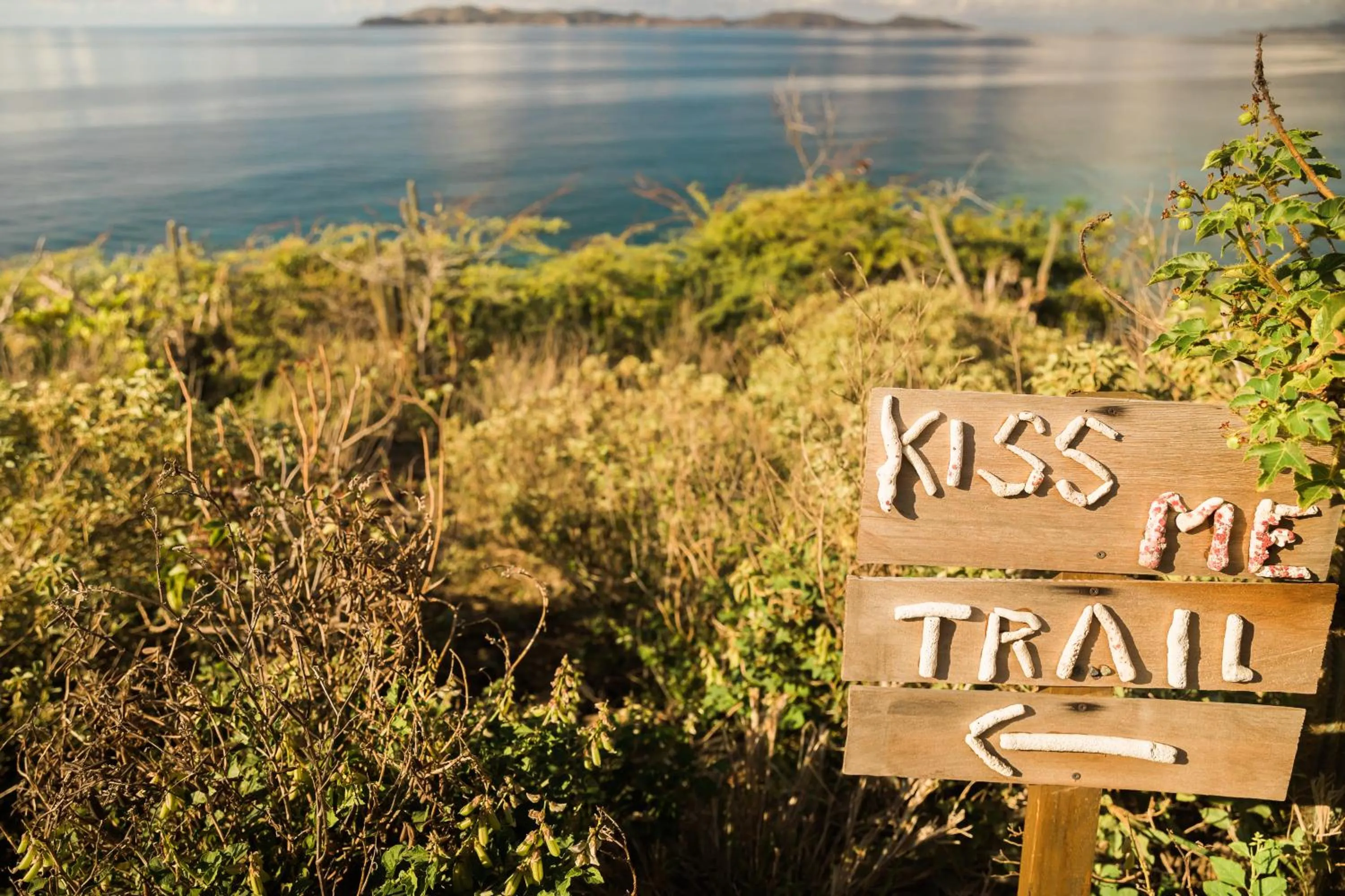 Hiking in The Aerial, BVI