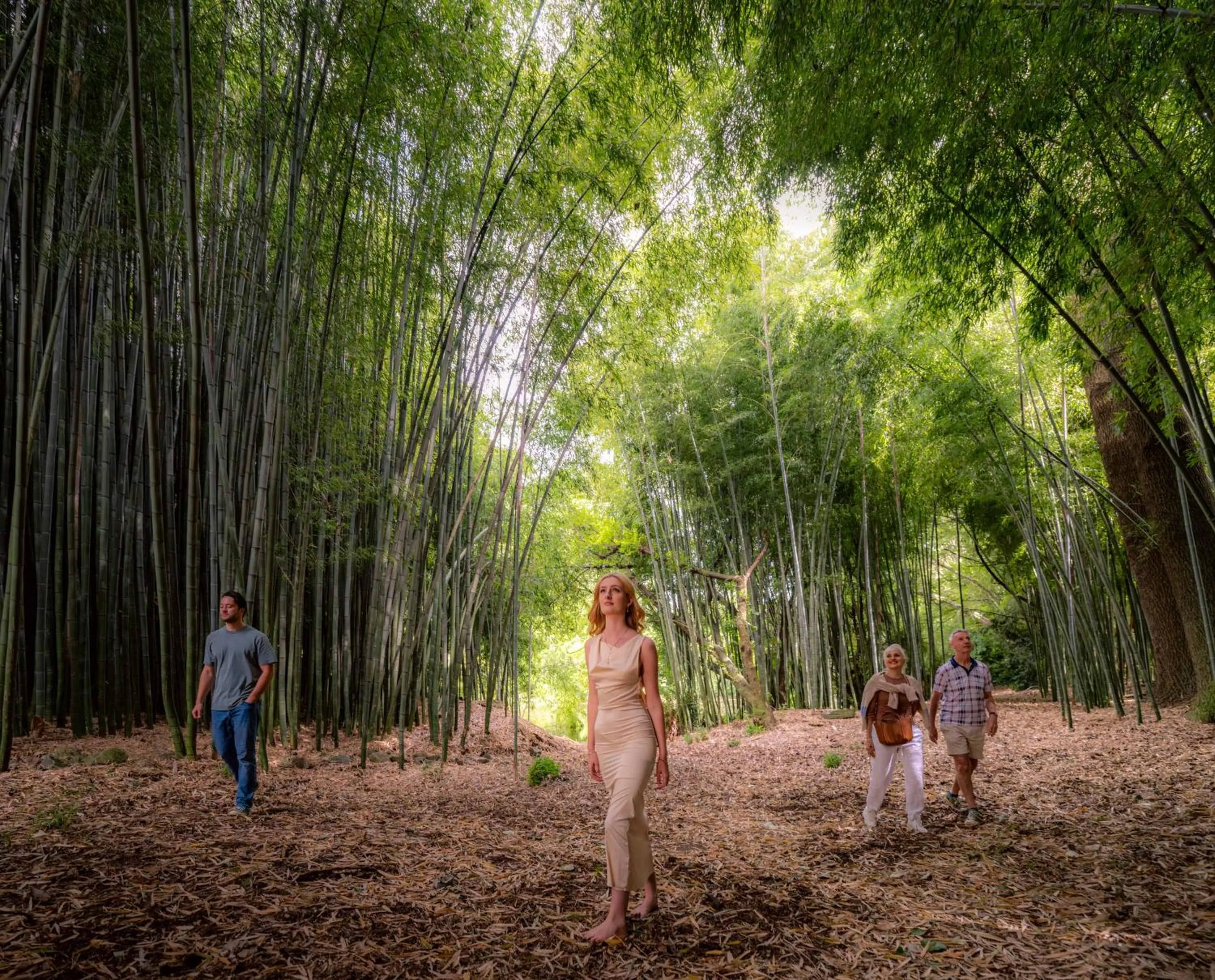 Summer in Hana Lodge