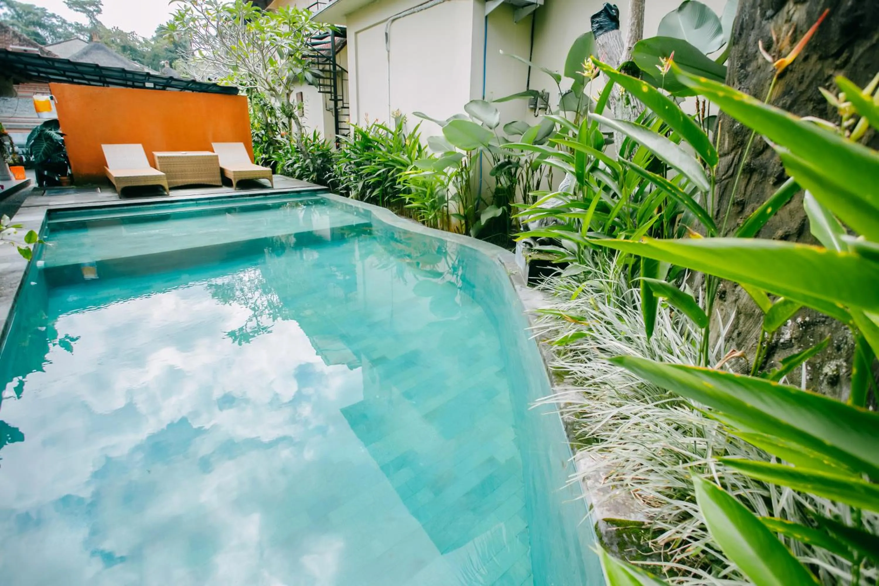 Day in Nobody Inn Bali at Arya guest house