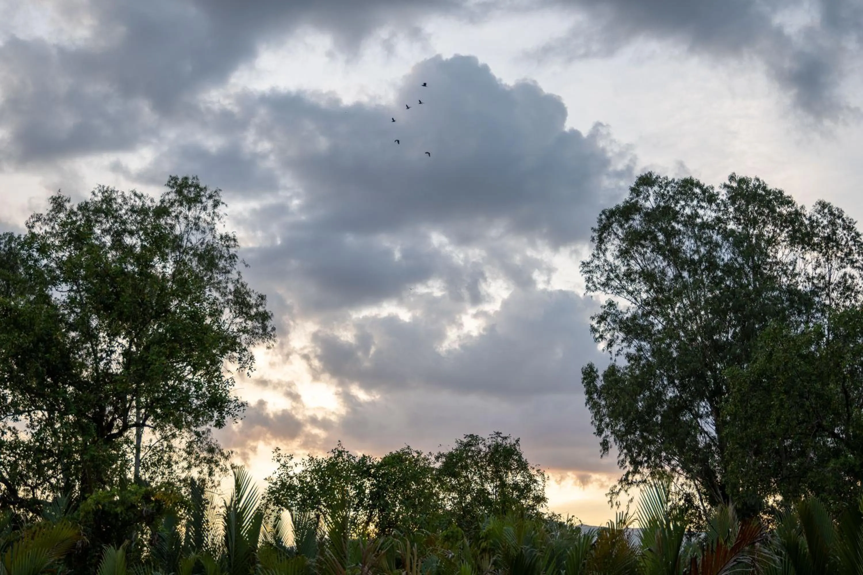 View (from property/room) in Kampot Eco Village