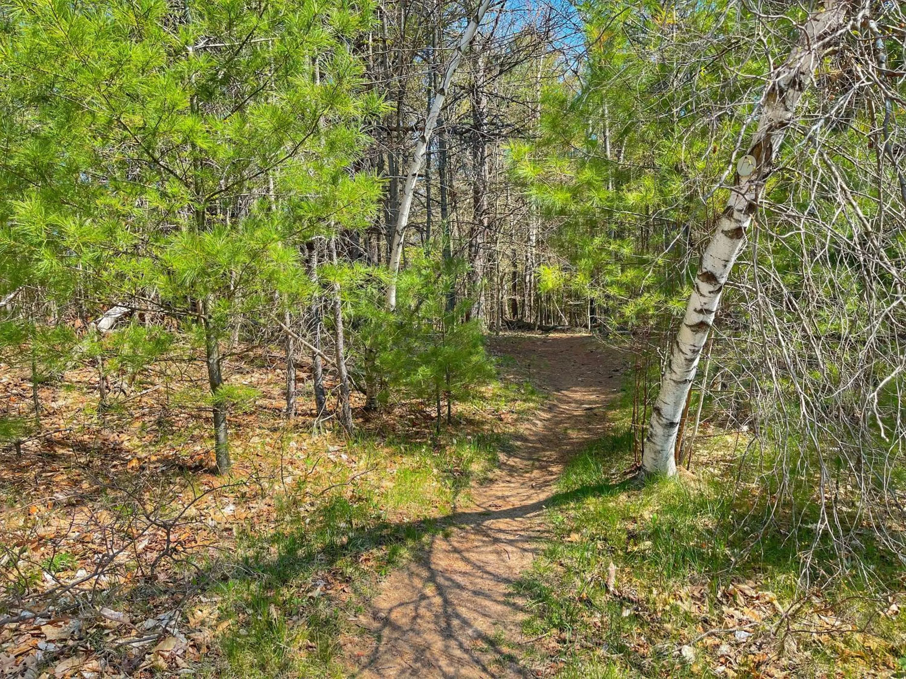 Hiking in Adirondack Mountain Cabin with Hot Tub, Near Whiteface, Lake Placid, Fire Pit, Game Rm