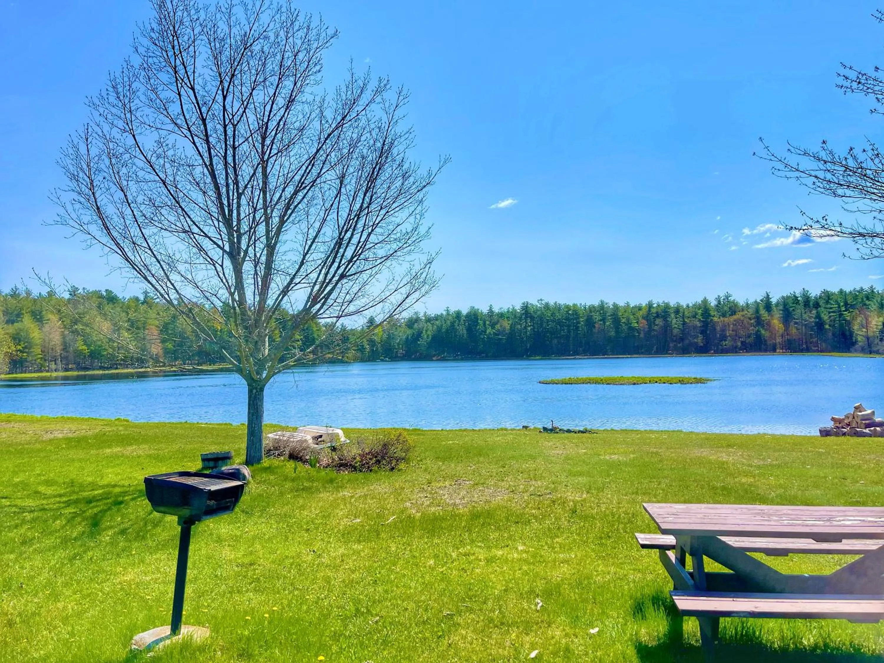 BBQ facilities in Adirondack Mountain Cabin with Hot Tub, Near Whiteface, Lake Placid, Fire Pit, Game Rm