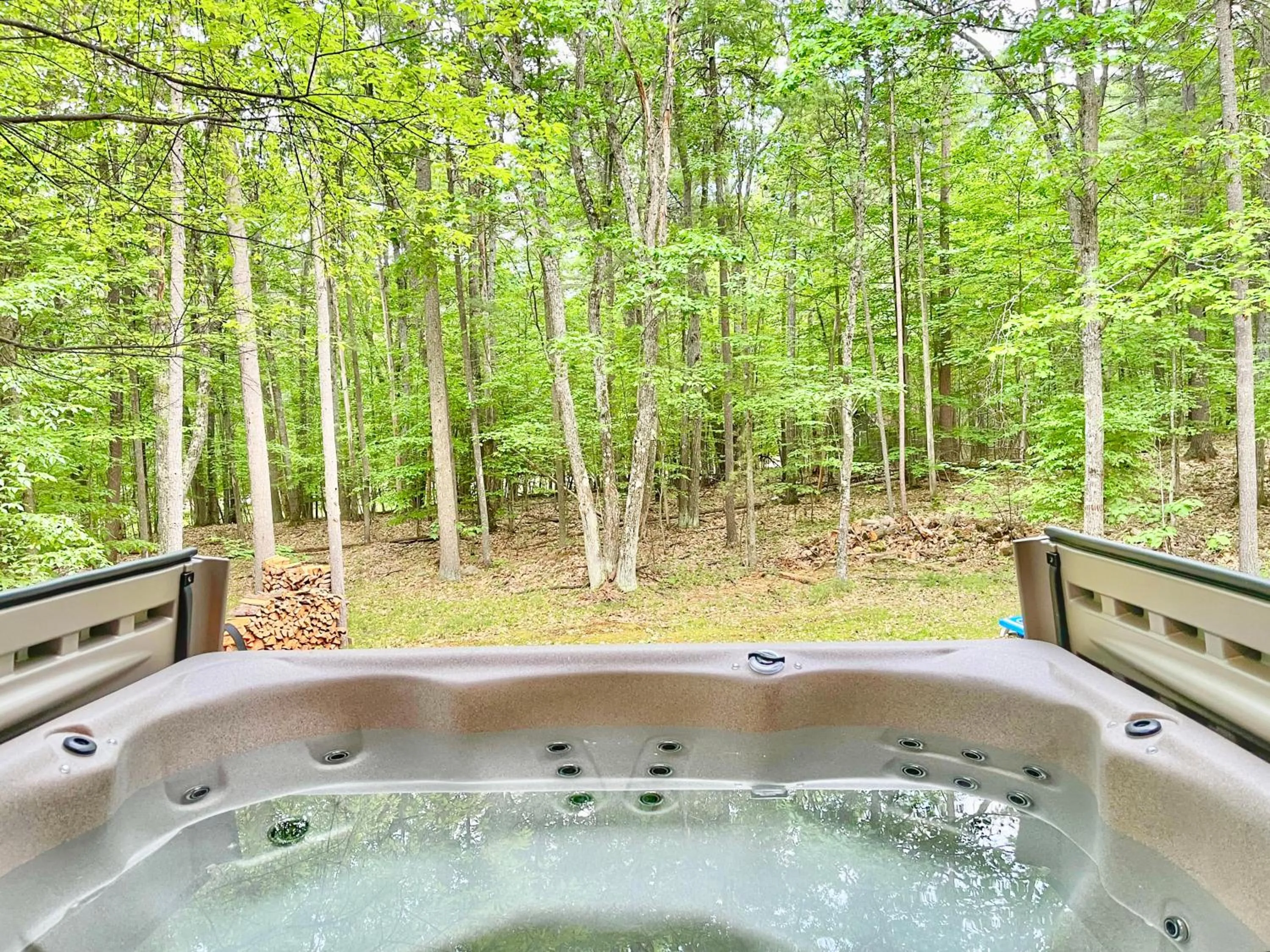 Natural landscape in Adirondack Mountain Cabin with Hot Tub, Near Whiteface, Lake Placid, Fire Pit, Game Rm
