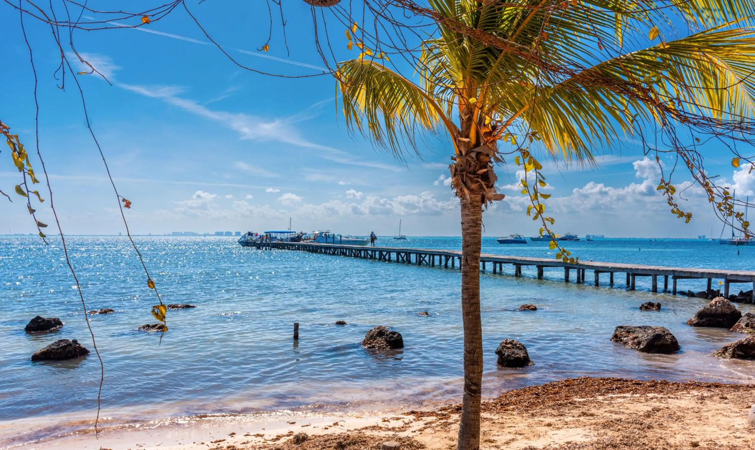 Landmark view in Enigmatic Beach Hotel