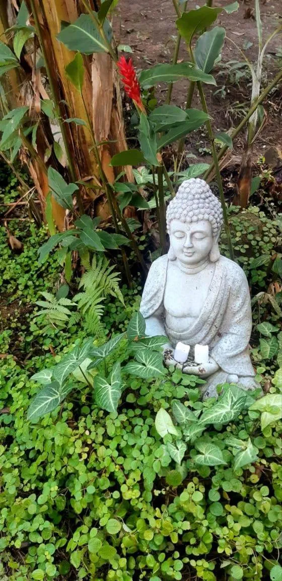 Garden in BOSQUE TOQUE TOQUE Pousada