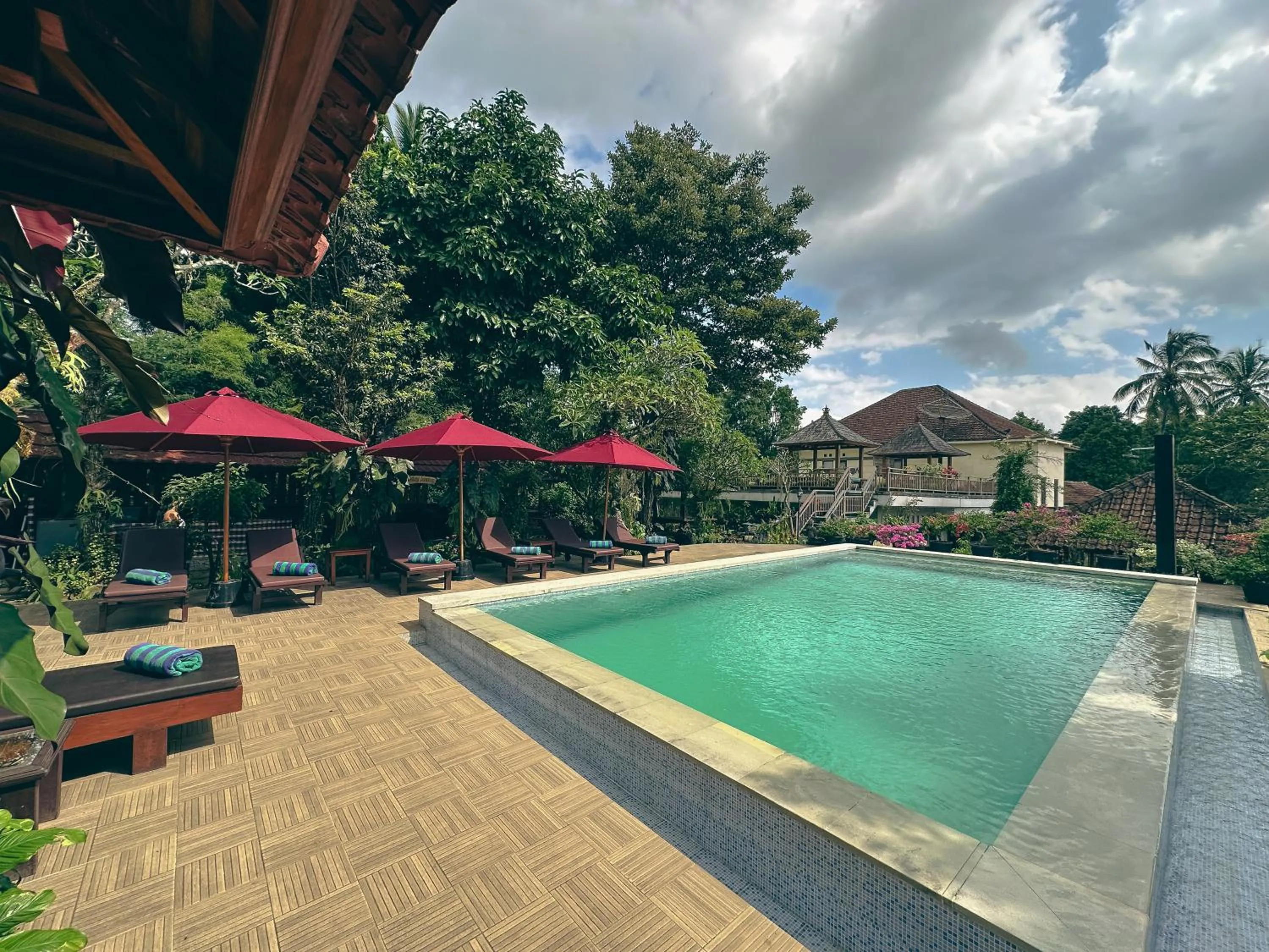 Swimming pool in VILLA IPSA