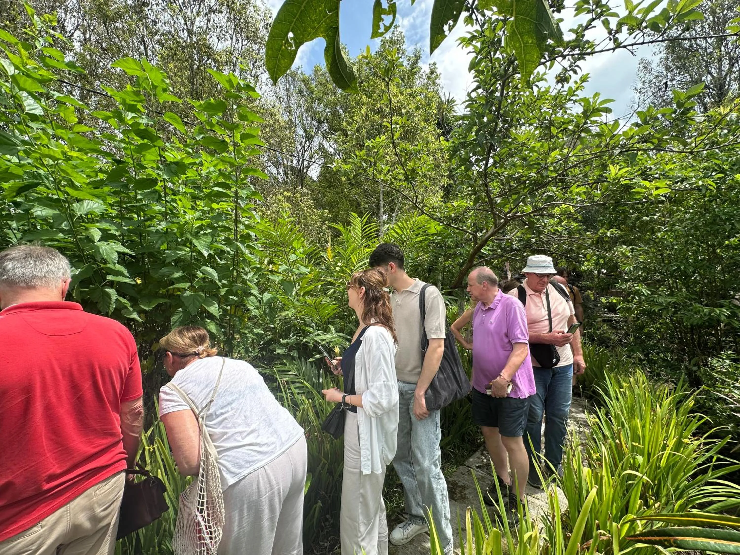 Activities in VILLA IPSA