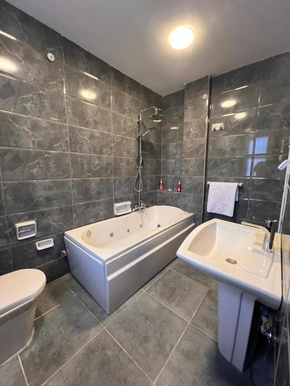 Deluxe Apartment in downtown Family Suites Deluxe Apartment in downtown Family Suites