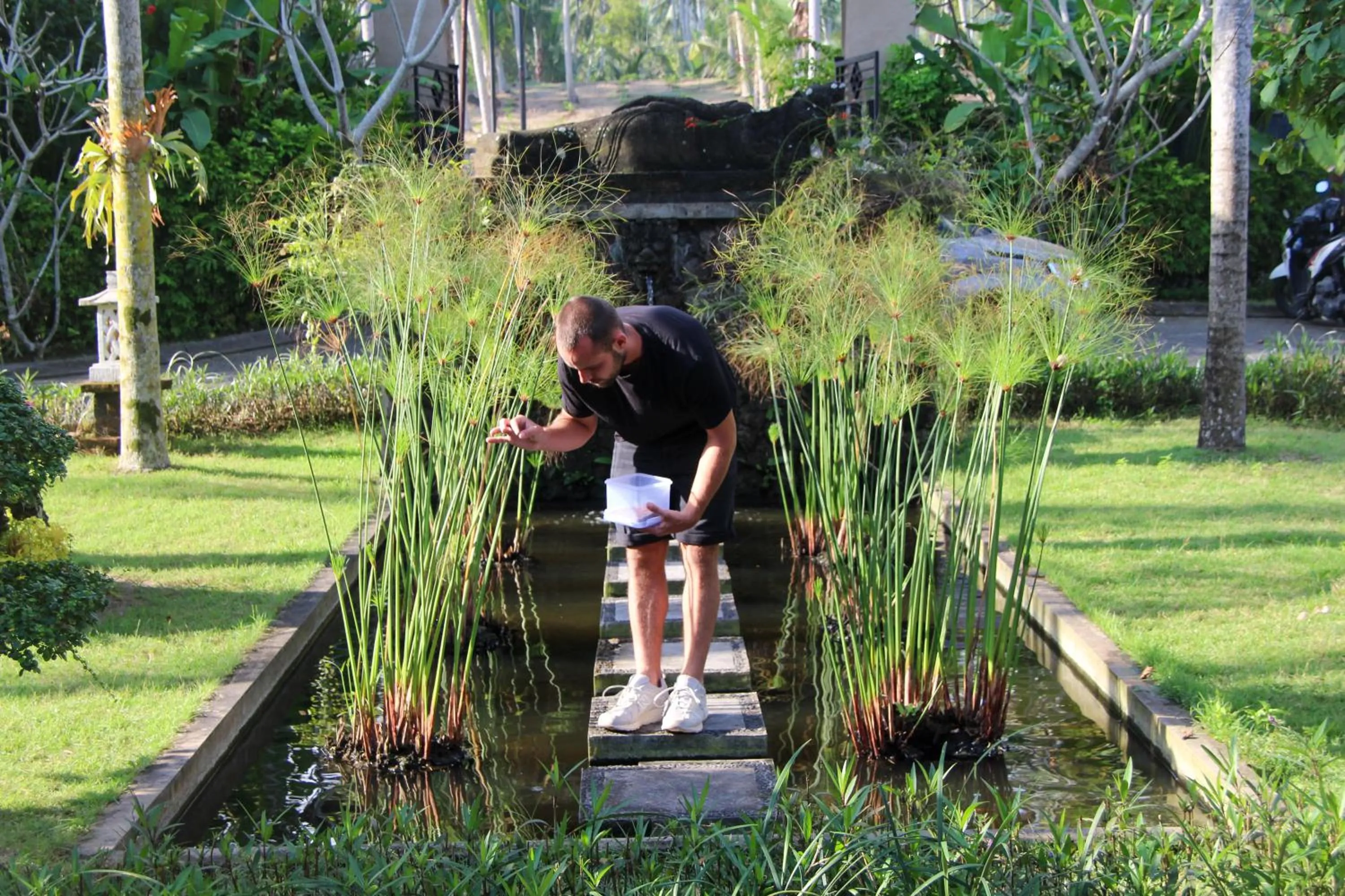 Garden view in Bali Hai Island Resort