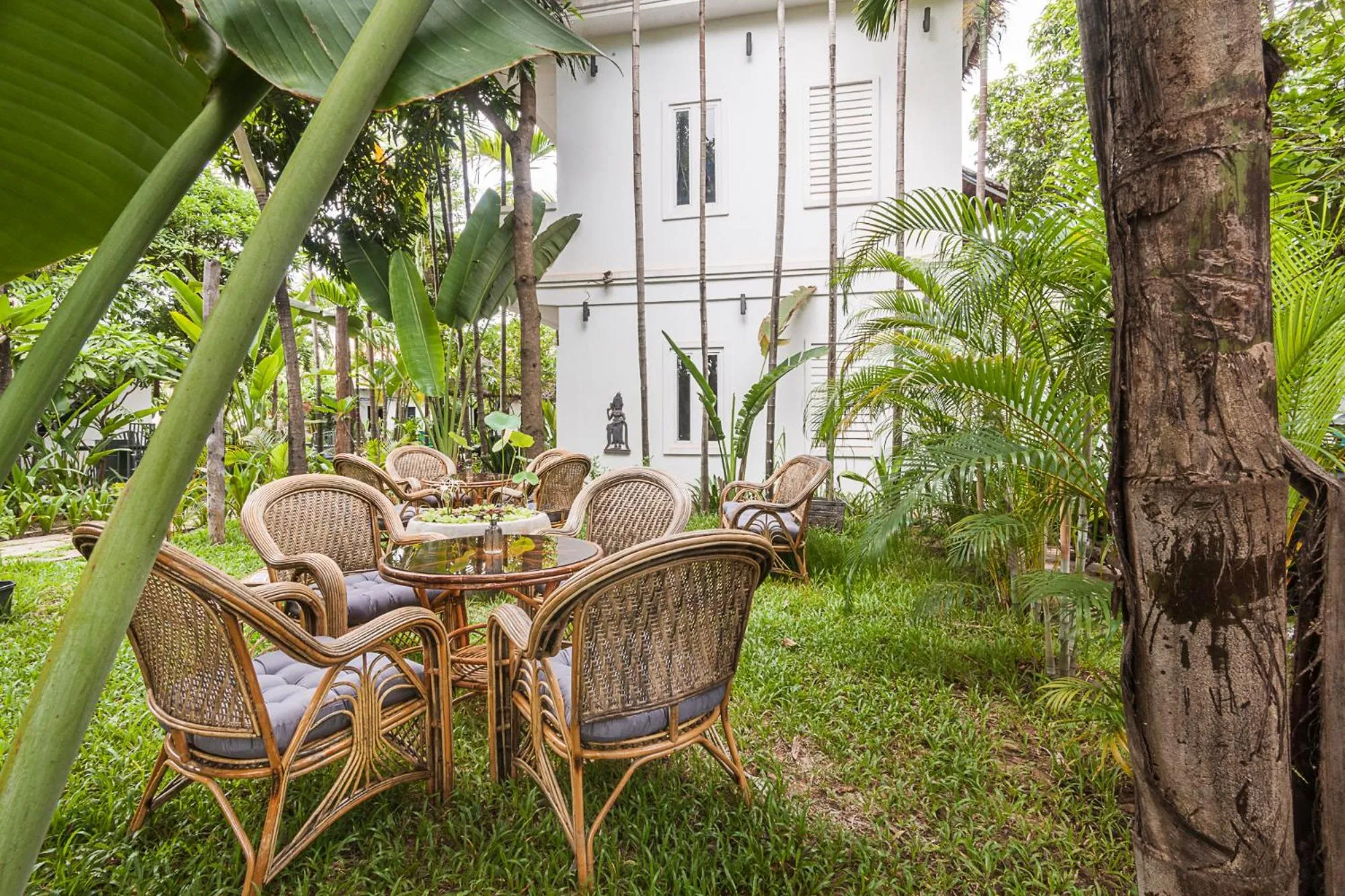 Garden in The Botanic Garden Hotel