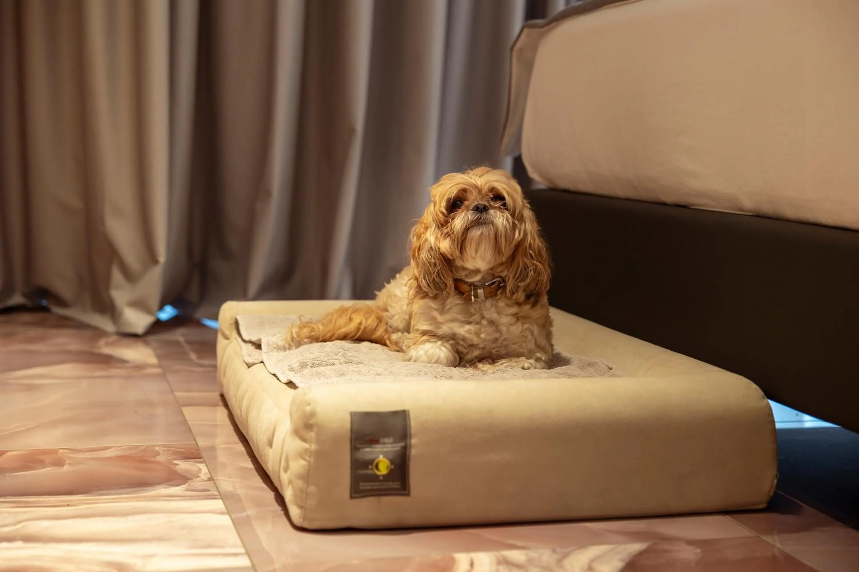 Pets in Boutique Hotel Sirmione