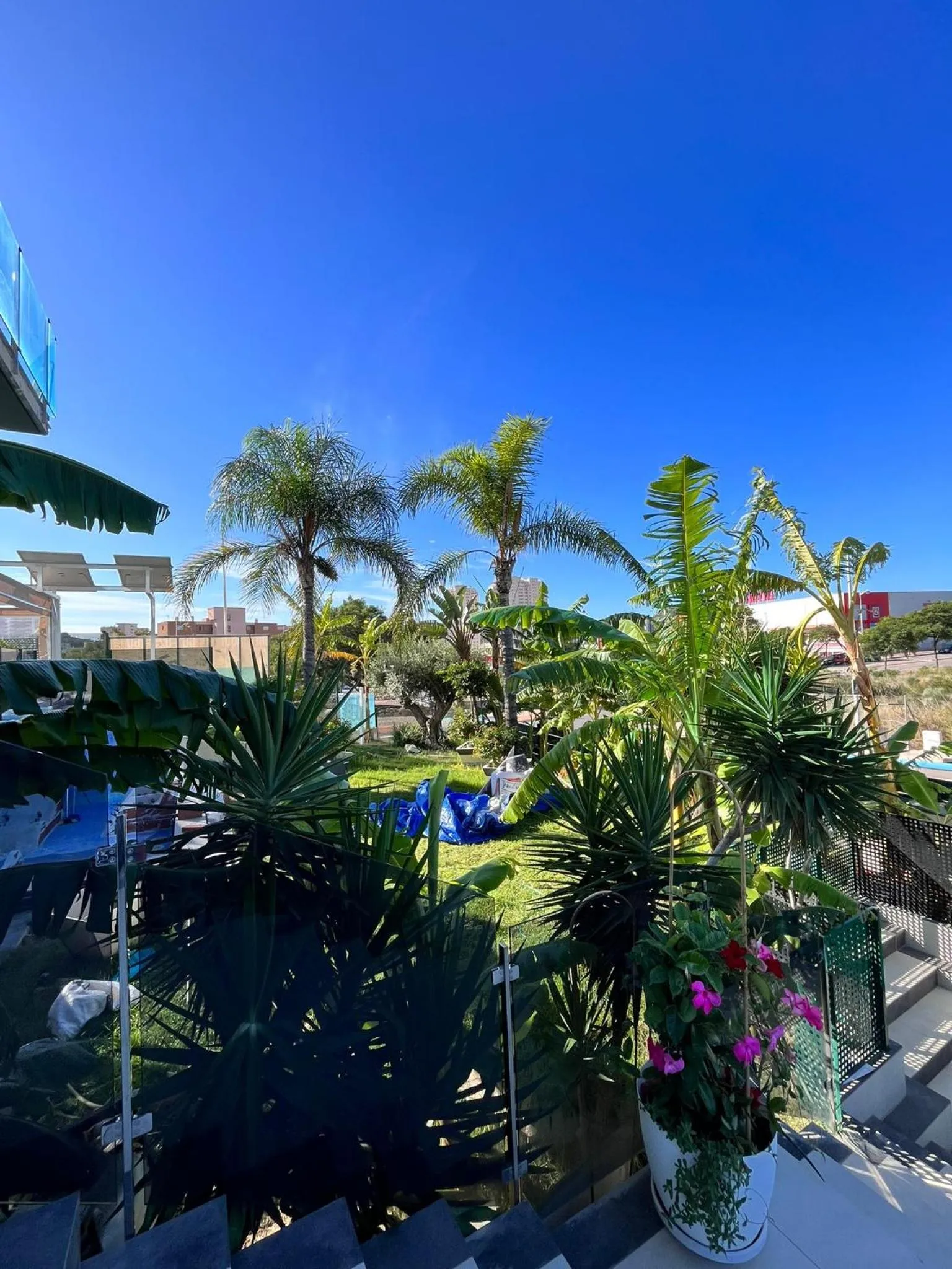 Garden in APARTAMENTOS OASIS DE LA CALA