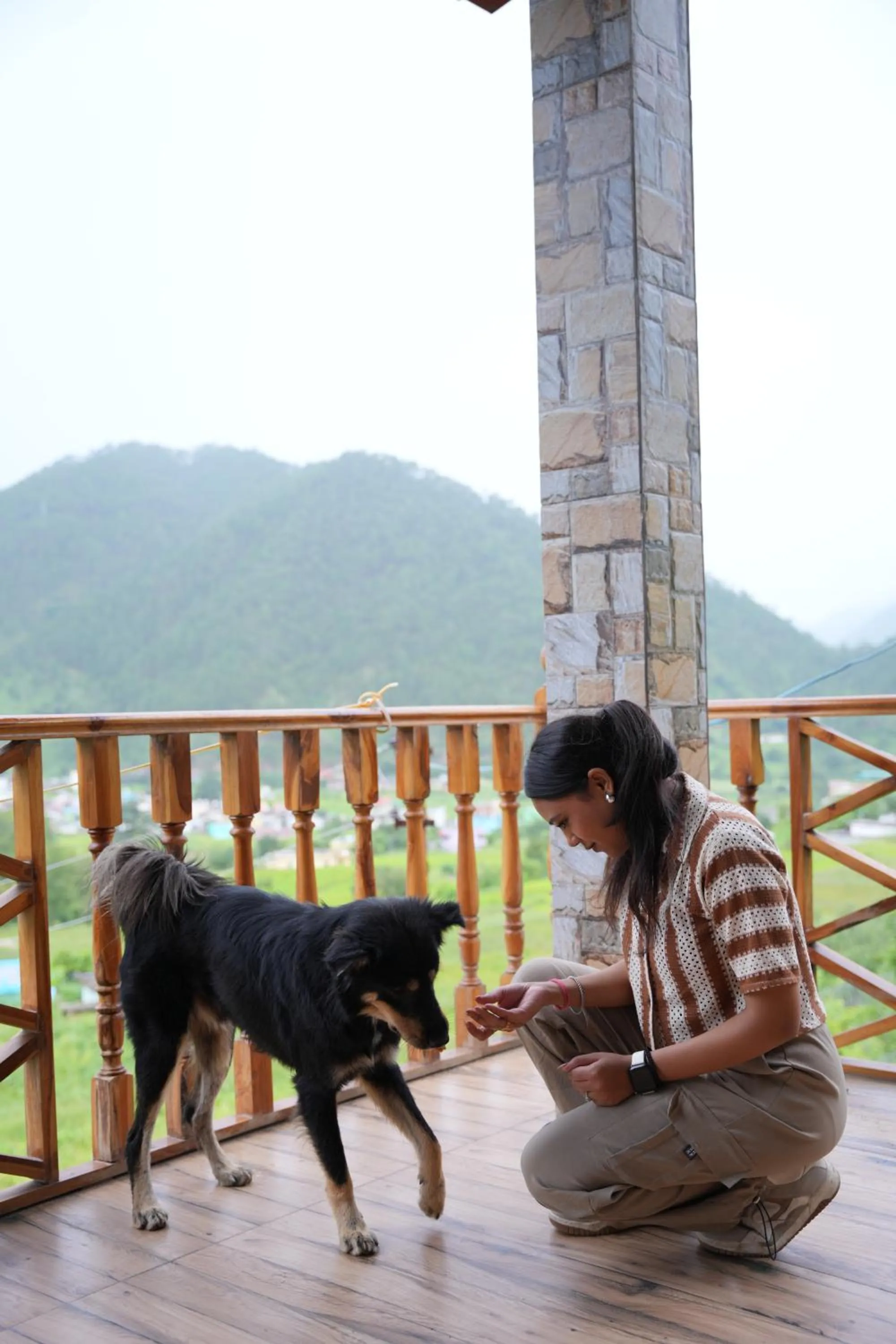 Pets in Cortland Jungle Resort