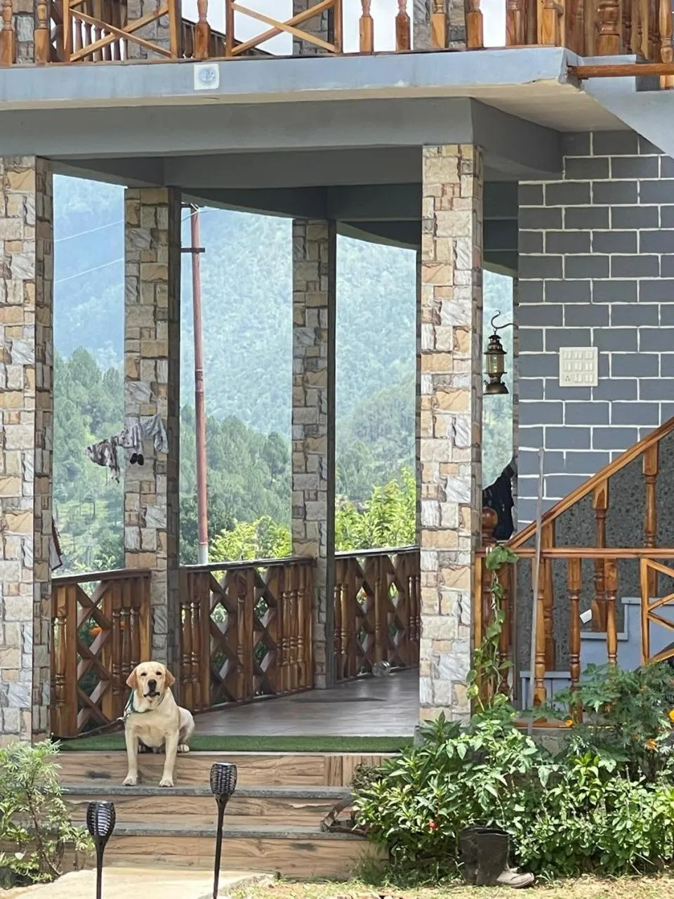 Property building in Cortland Jungle Resort