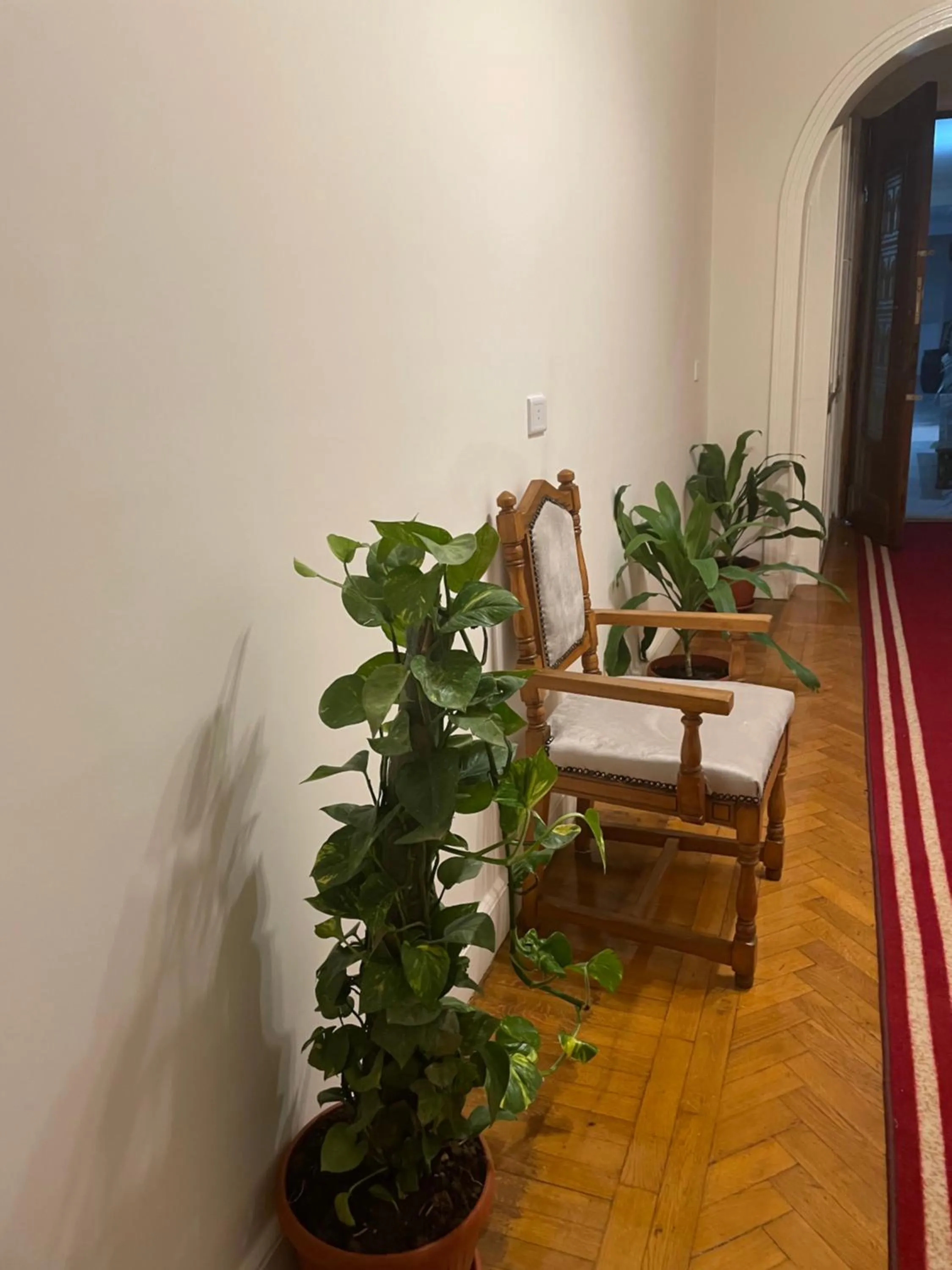 Seating area in Central Cairo Hotel