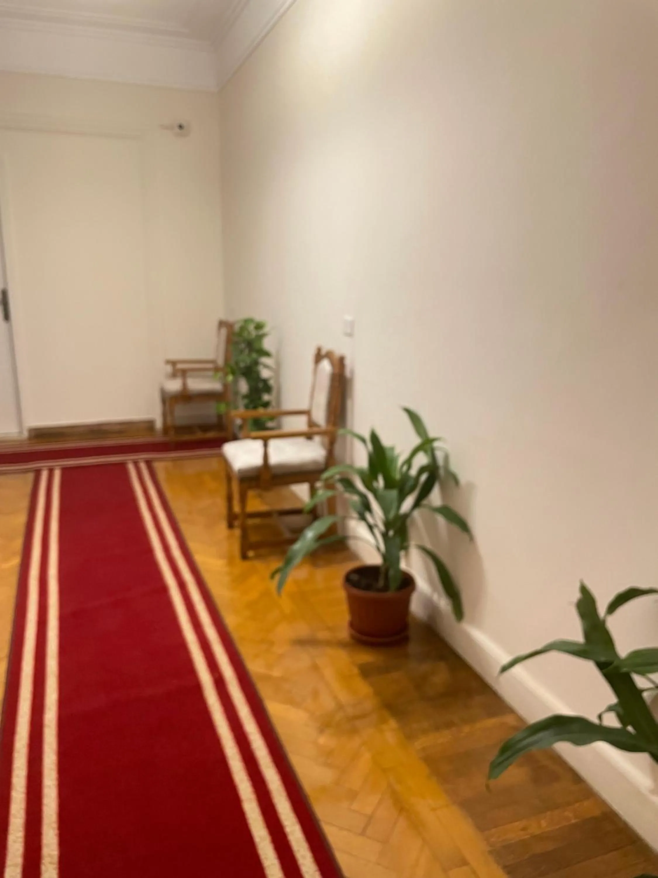 Facade/entrance in Central Cairo Hotel