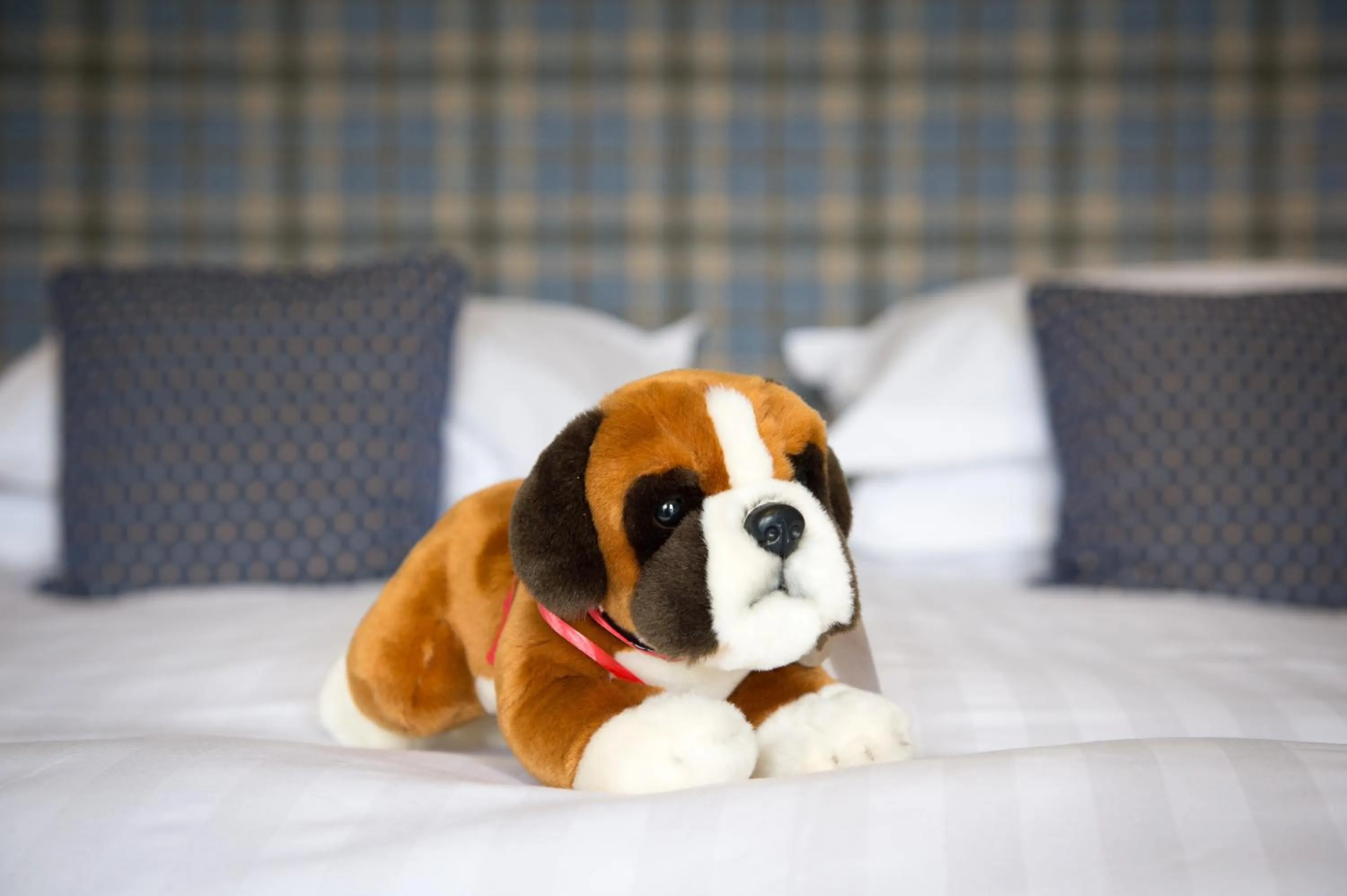 Bed in Lake Vyrnwy Hotel & Spa