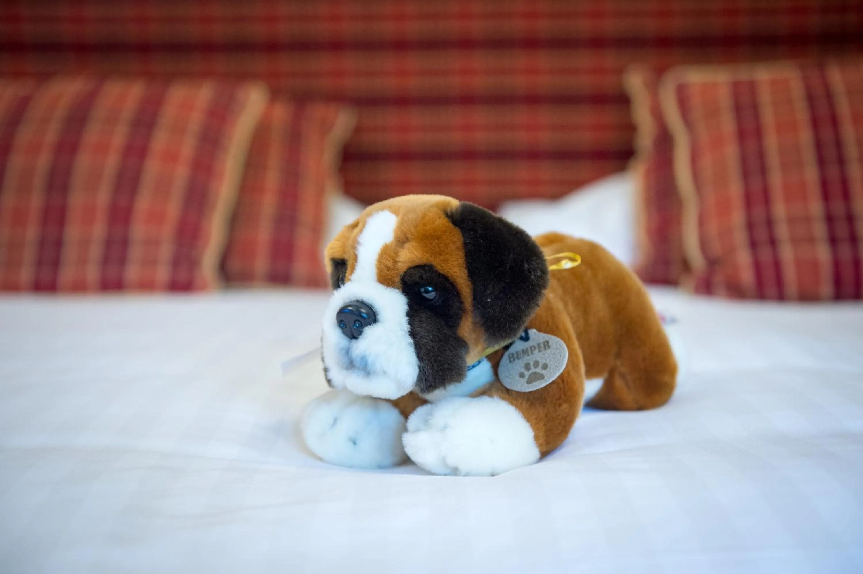 Lake Vyrnwy Hotel & Spa