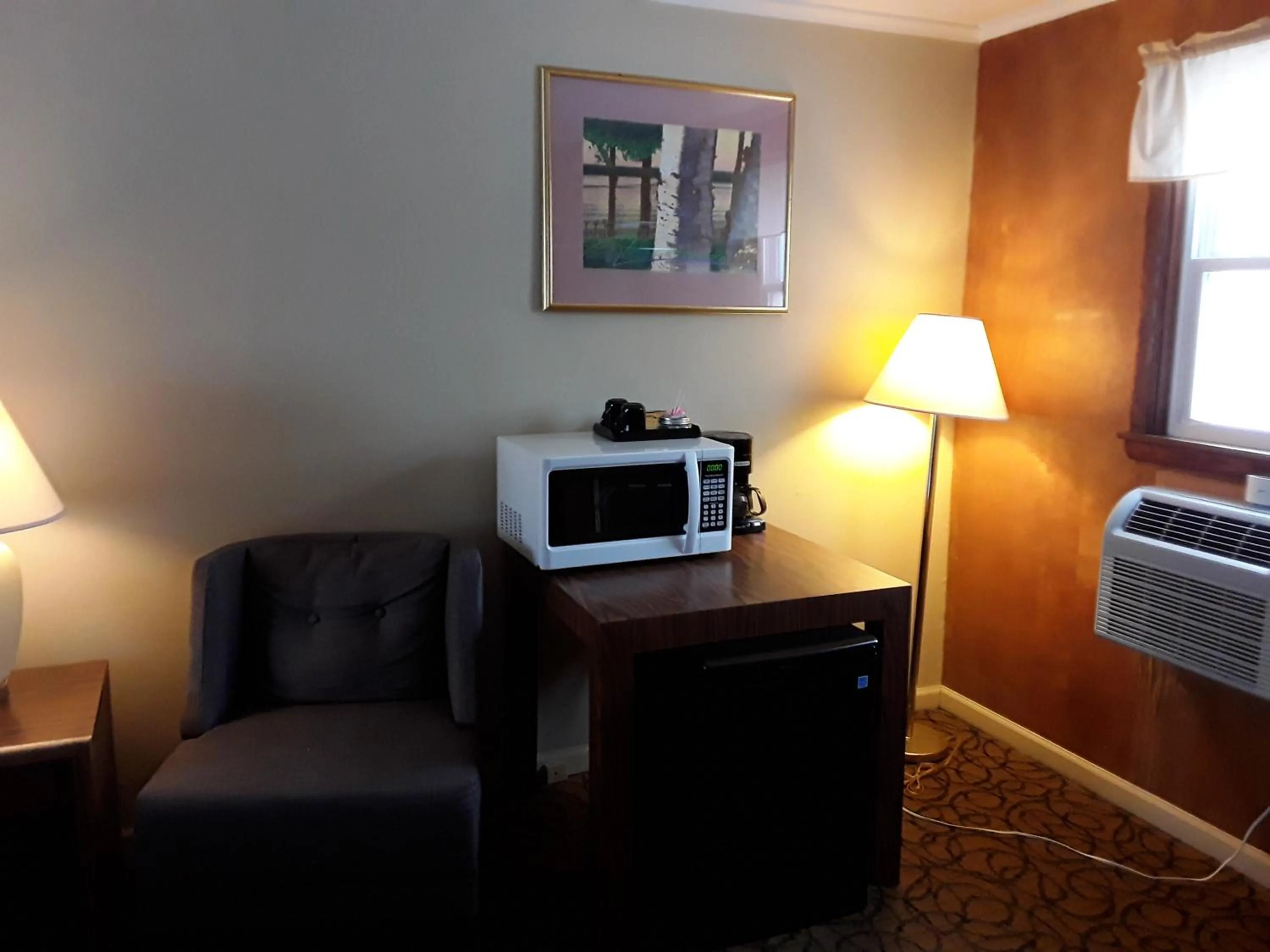 minibar in Gladstone Motel