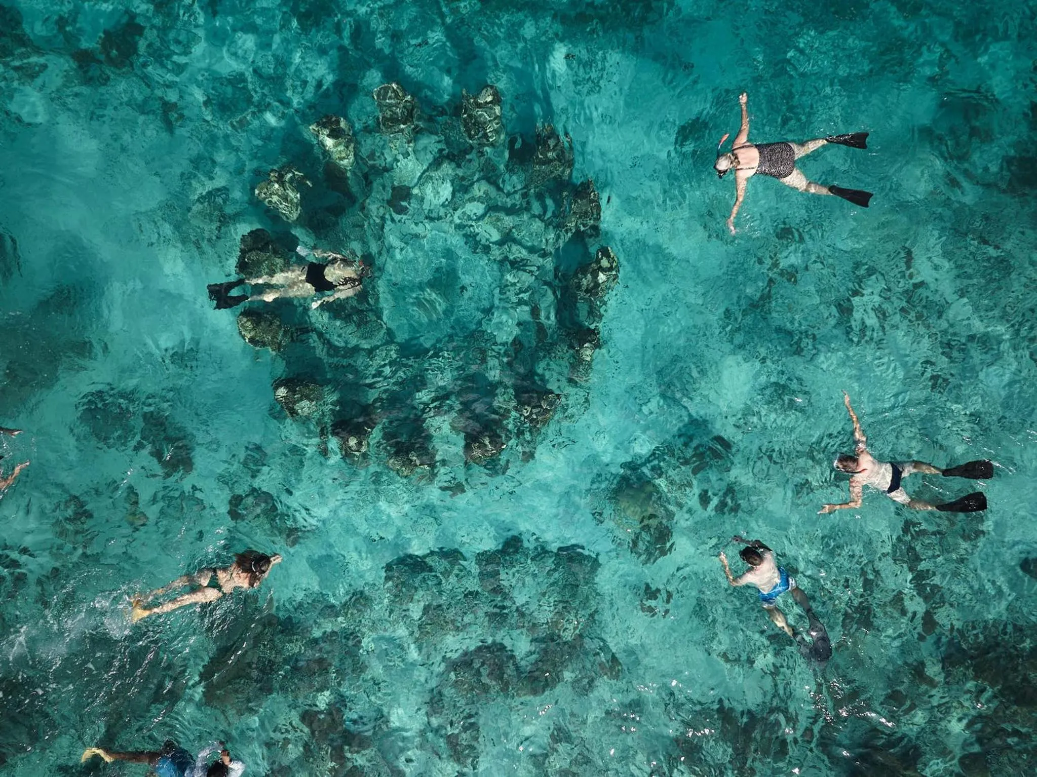 Snorkeling in BASK Gili Meno