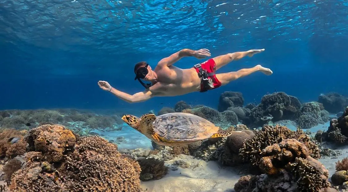 Snorkeling in BASK Gili Meno