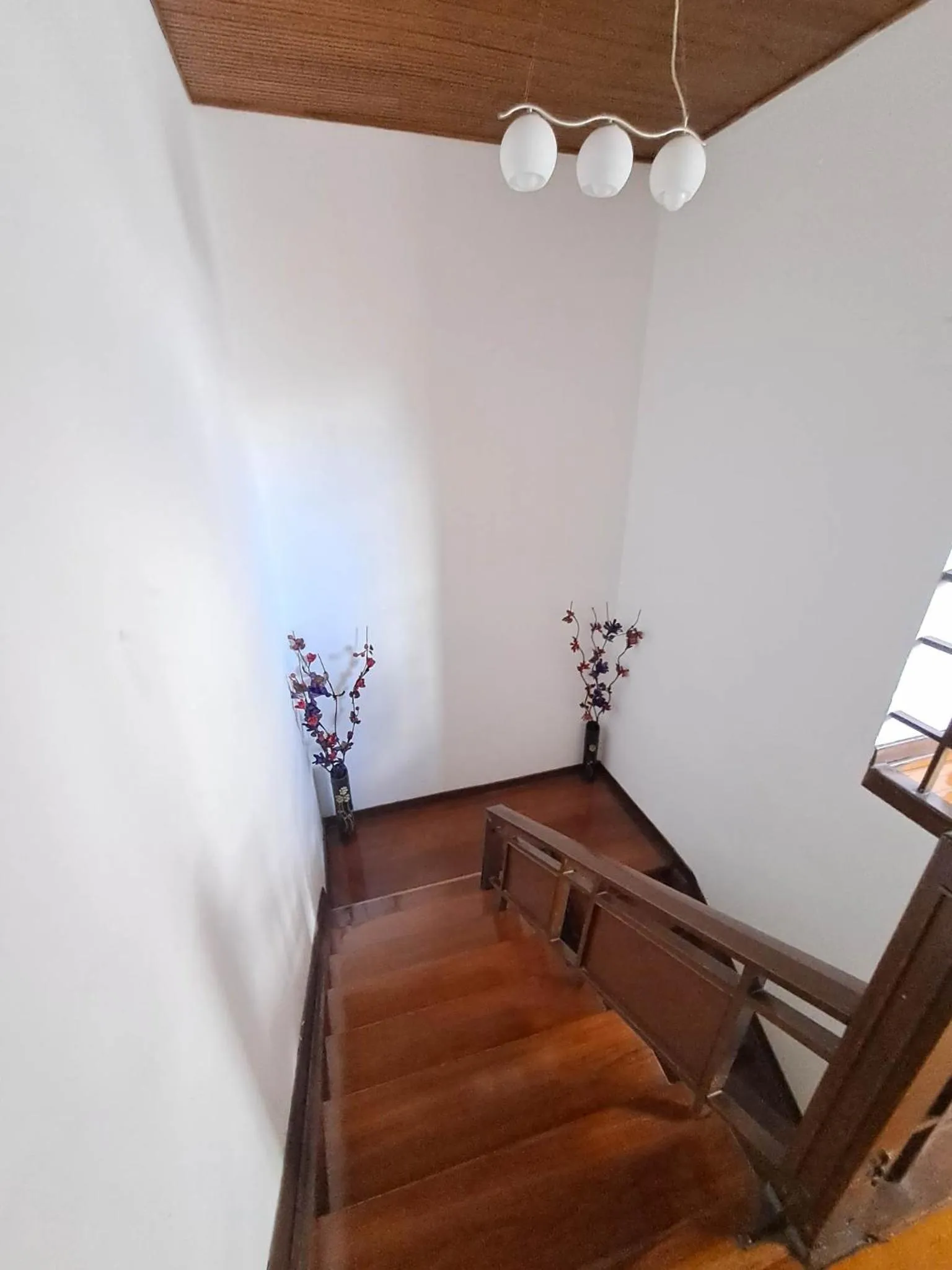 Area and facilities in Makarena Hostel