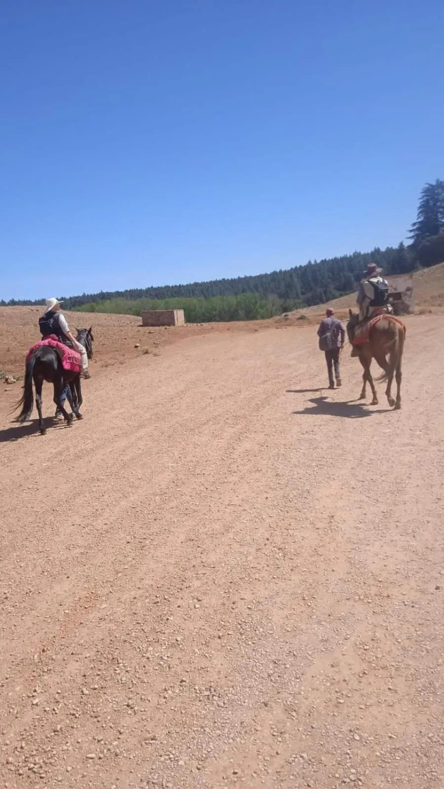 Hotel des cedres,azrou maroc
