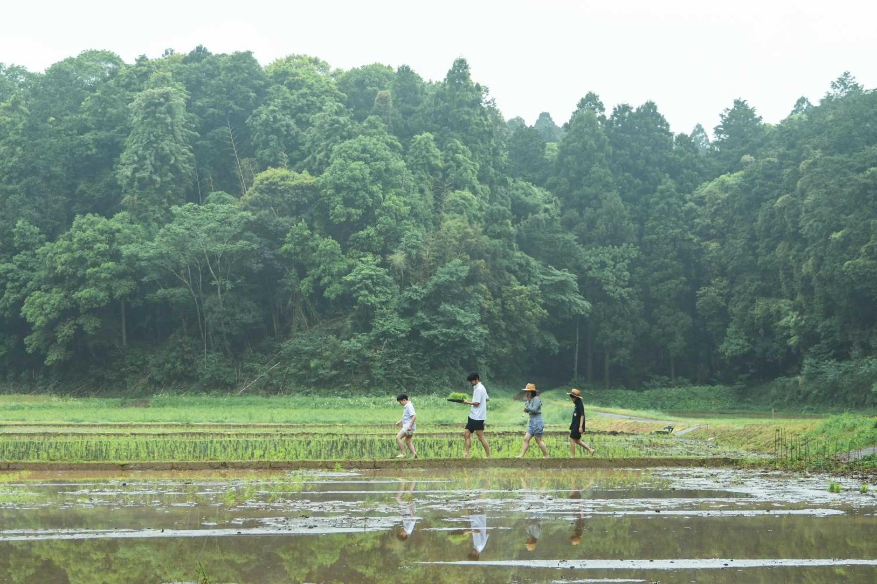 Spring in THE FARM Resort Japan