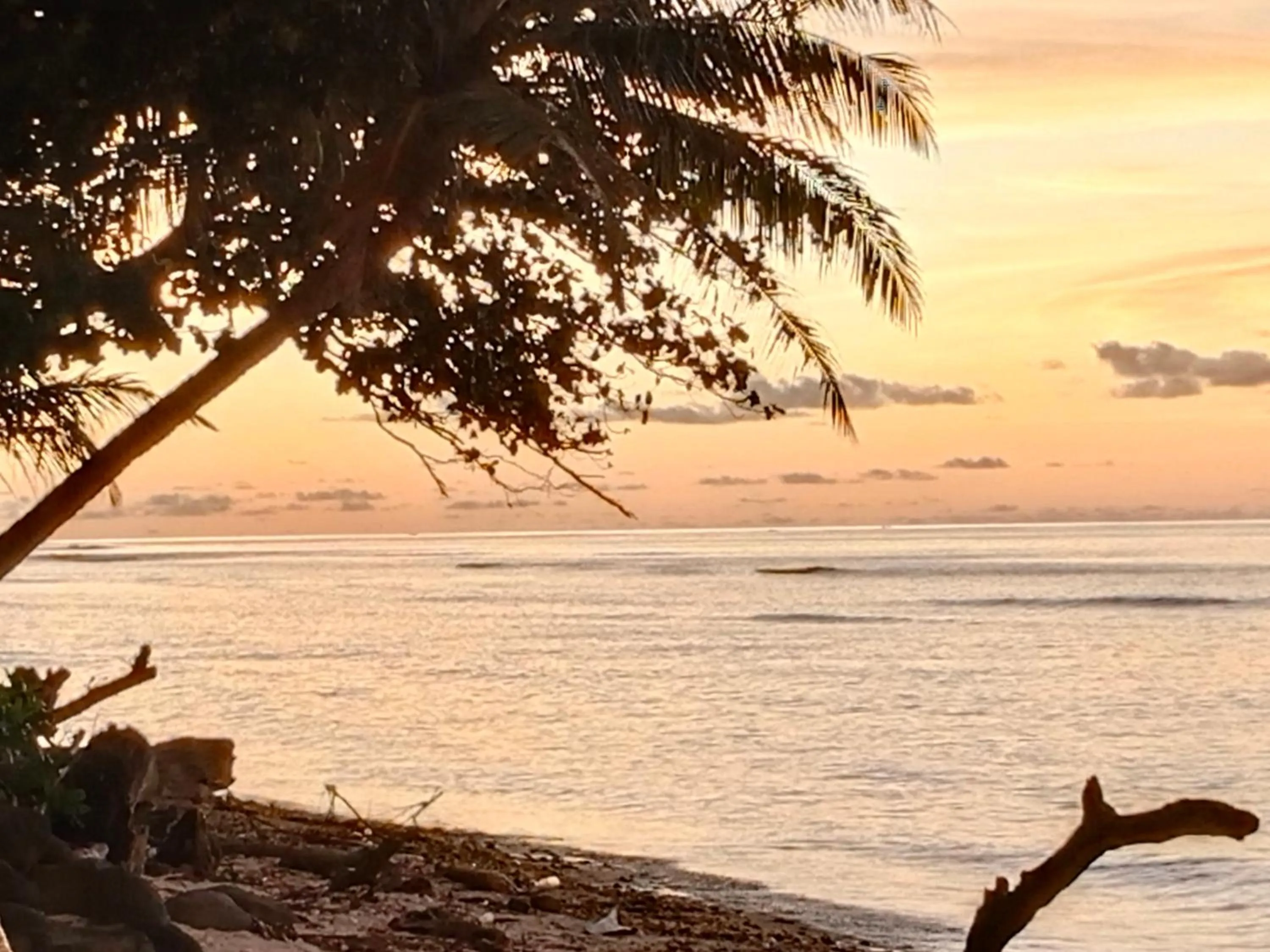 Beach in Rumah Nalu surf camp