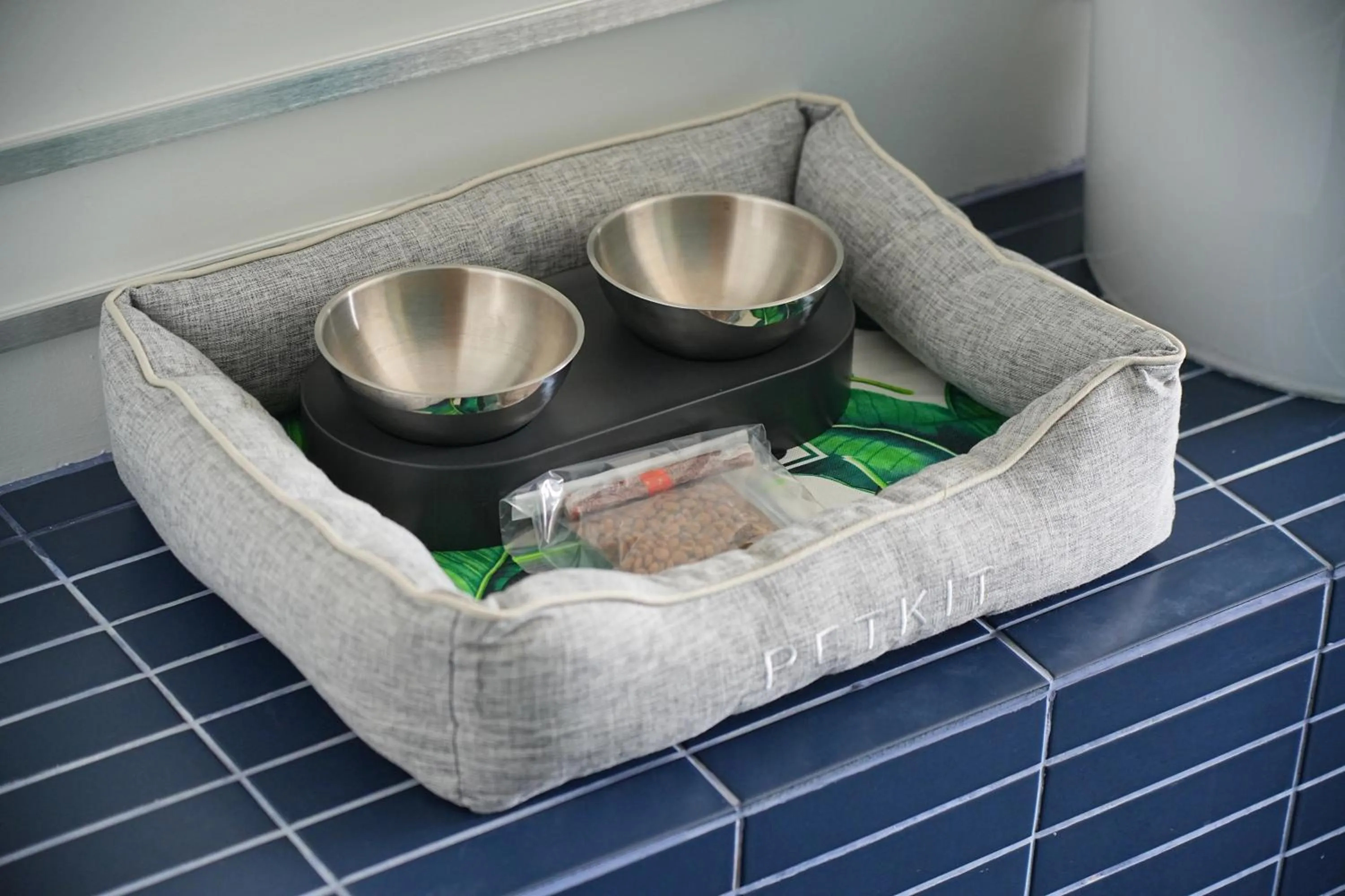 Pets in GO Hotel Chonburi at Central Chonburi