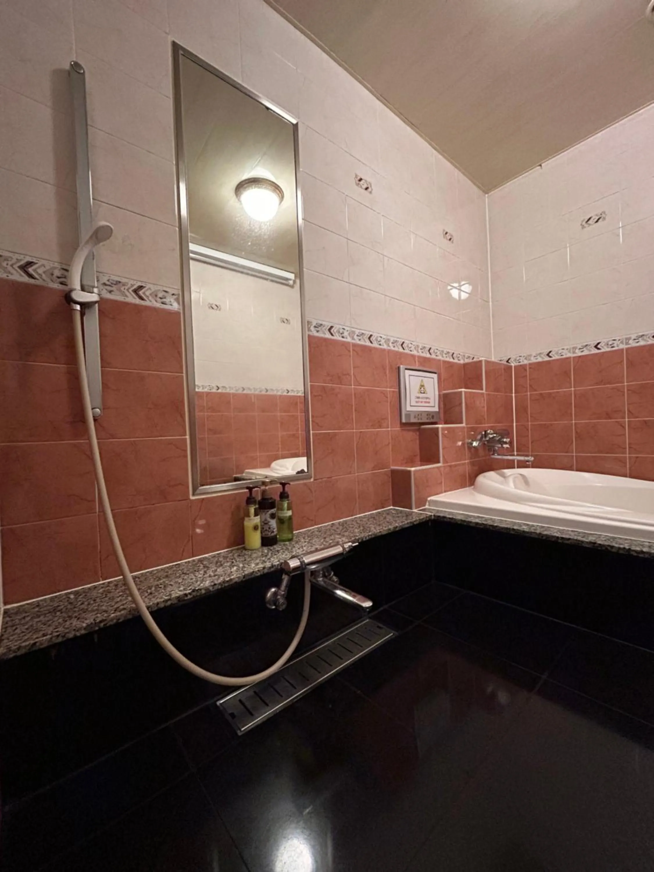 Shower in Hotel Takao Asile