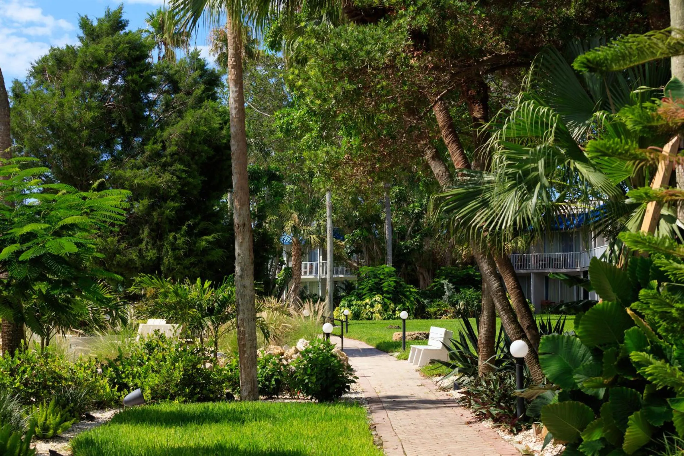 Garden in SkyBeach Resort