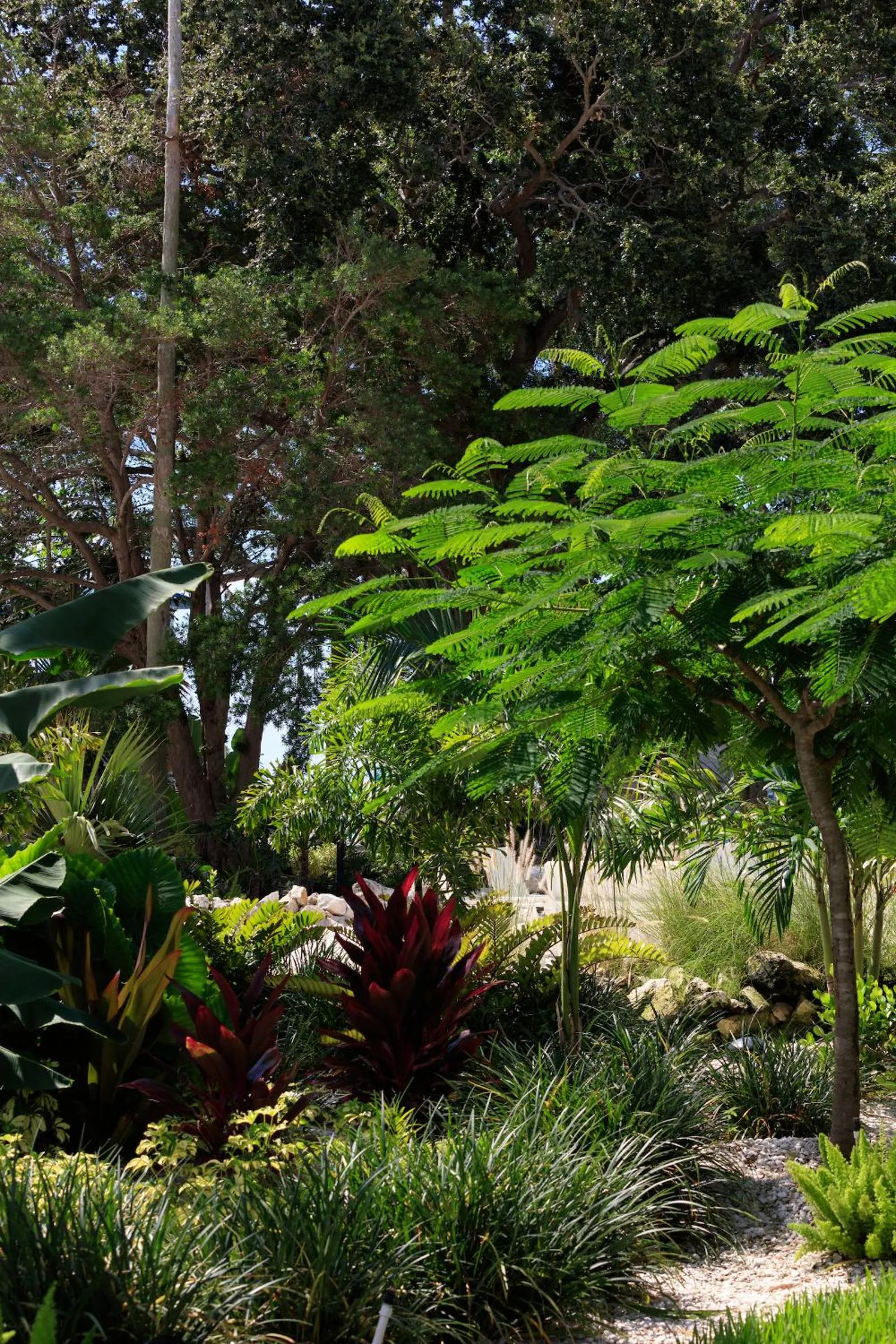 Garden in SkyBeach Resort