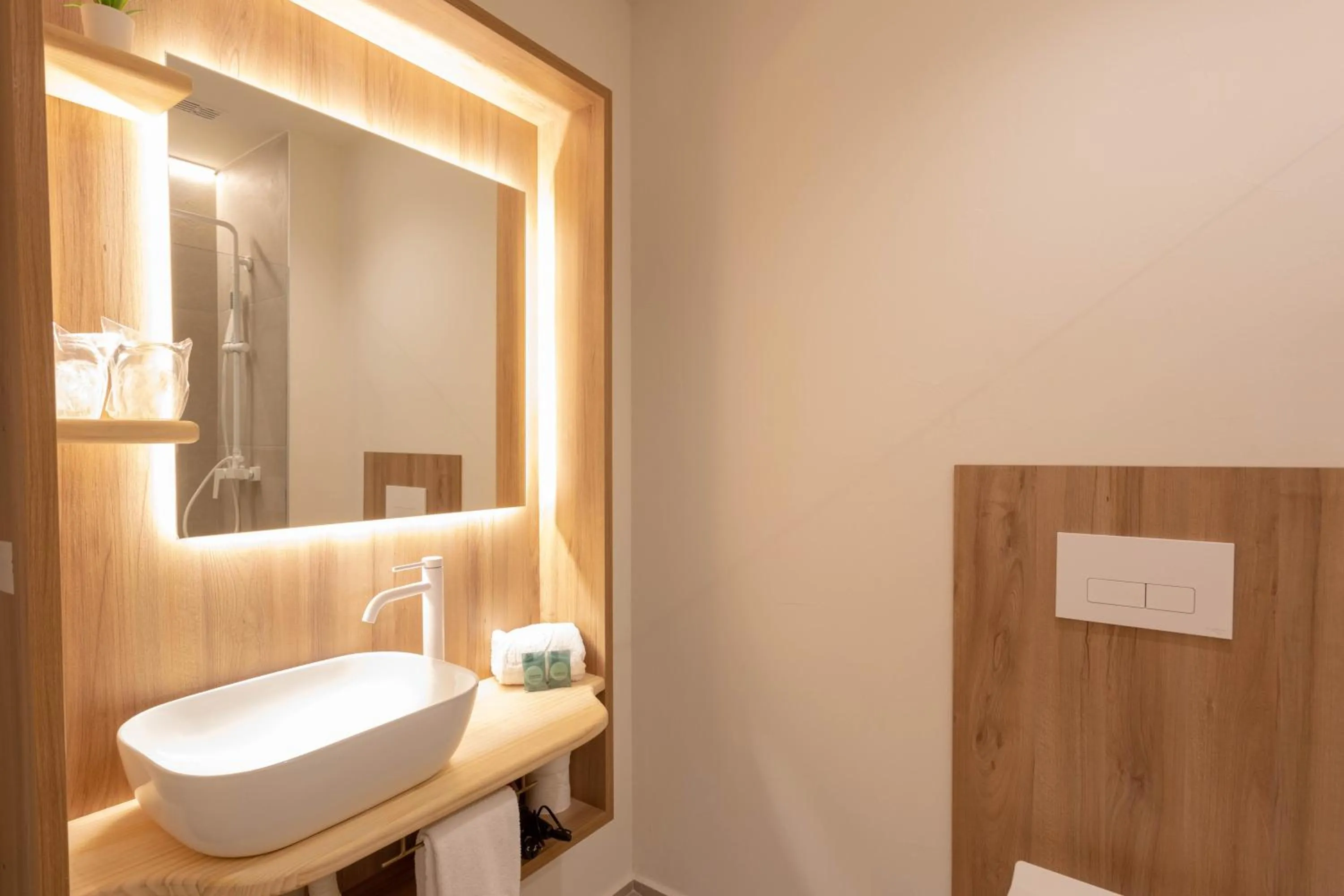 Toilet in Reina Victoria Velázquez