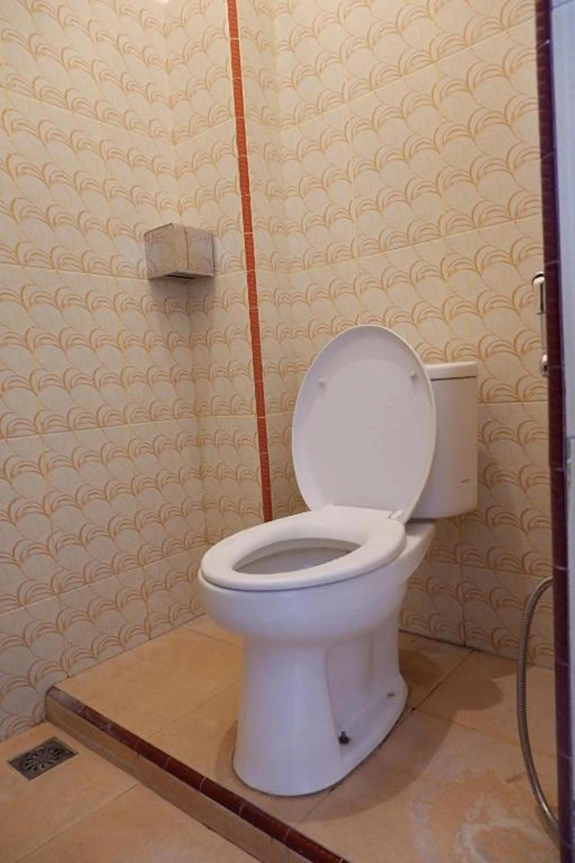 Toilet in Hotel Manggasa Makale